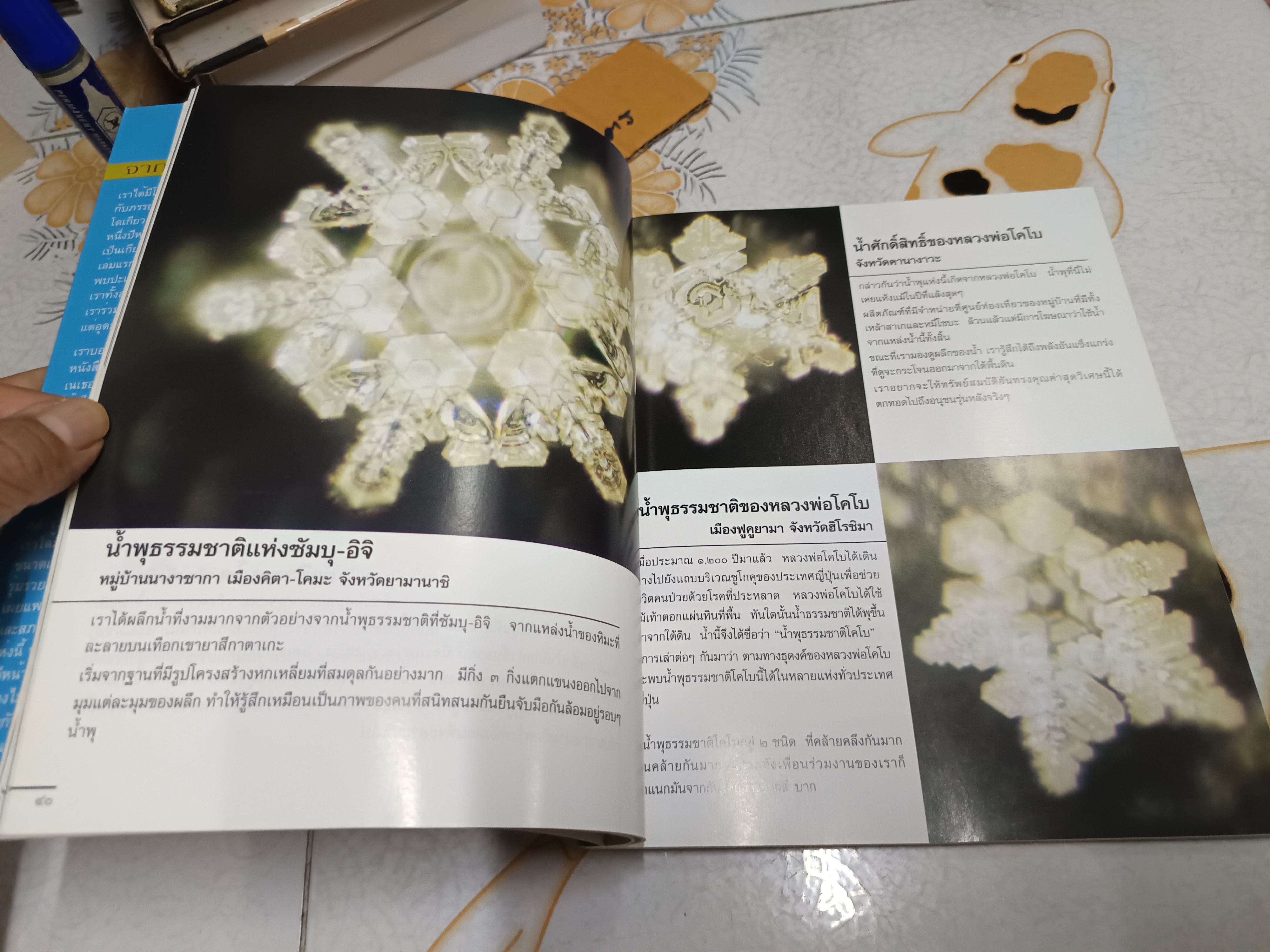 สาส์นจากวารี Messages from Water มาซารุ เอโมโตะ เขียน ศศิธร- ศศิวิมล รัชนี แปล