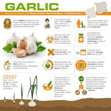 (Wakunaga®) KYOLIC® Aged Garlic Extract™ 100 แคปซูล Kyolic, Aged Garlic Extract, Cardiovascular ไคโอลิค กระเทียมบ่มสกัดไร้กลิน ออร์แกนิค สูตรดั้งเดิม