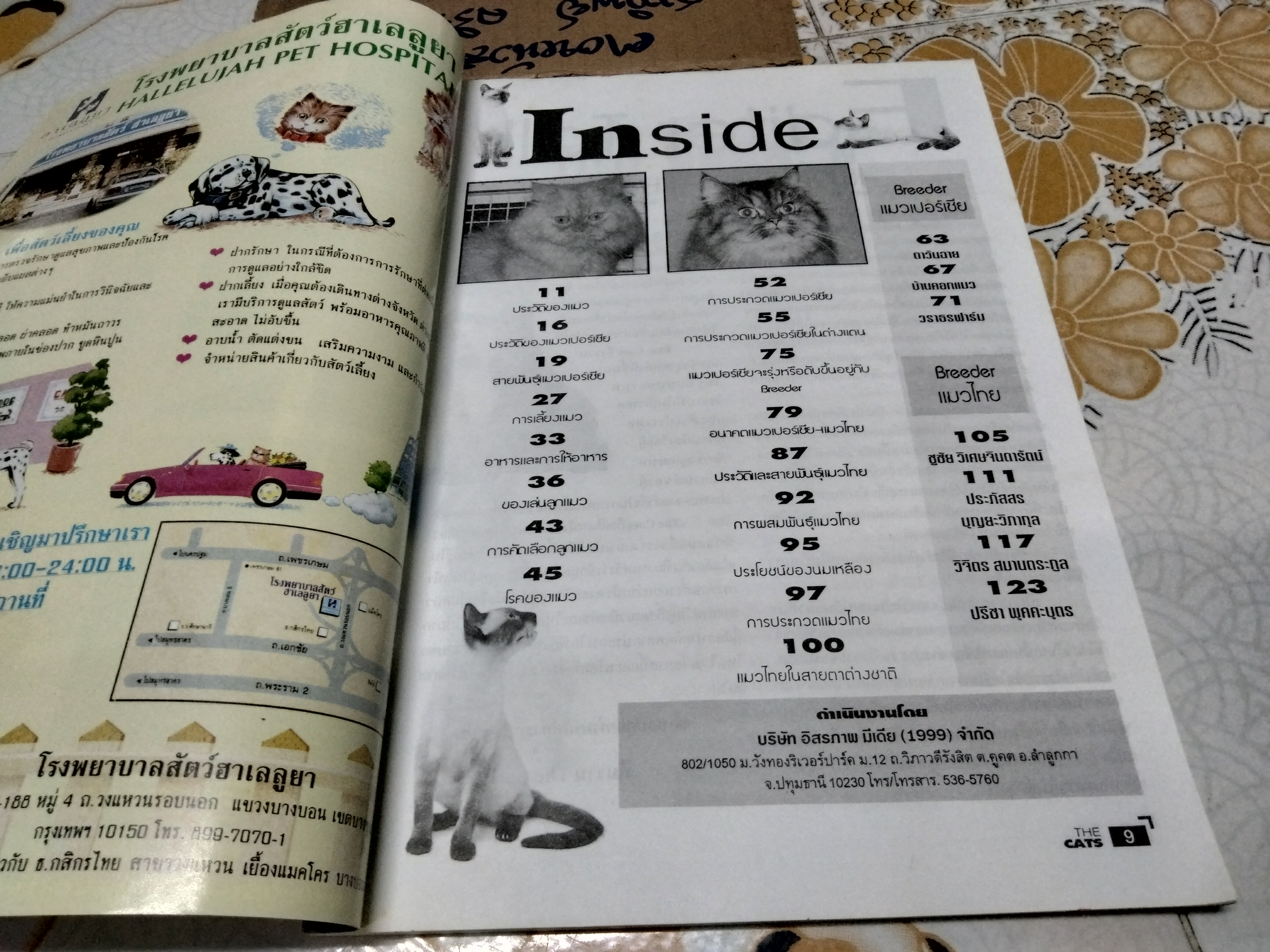 THE CATS คู่มือสำหรับคนรักแมว **สินค้าหมด**