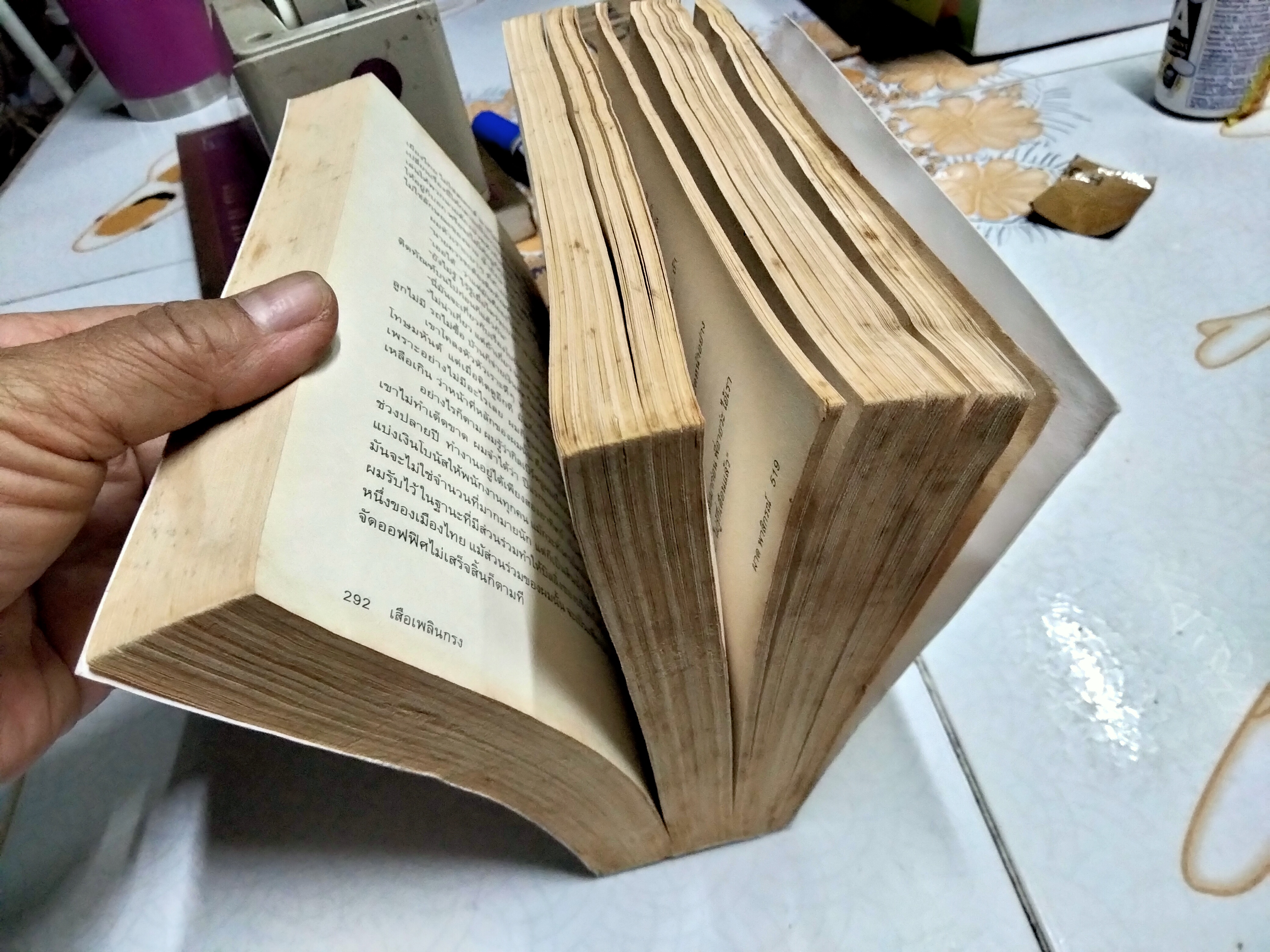 เสือเพลินกรง โดย ผาด พาสิกรณ์ (ลูกชายพนมเทียน) ...นวนิยายเพื่อชีวิตที่ติดบาร์โค้ด! พิมพ์ครั้งแรก พ.ศ 2552 สนพ. คเณศบุรี (หนังสือโดนน้ำ)