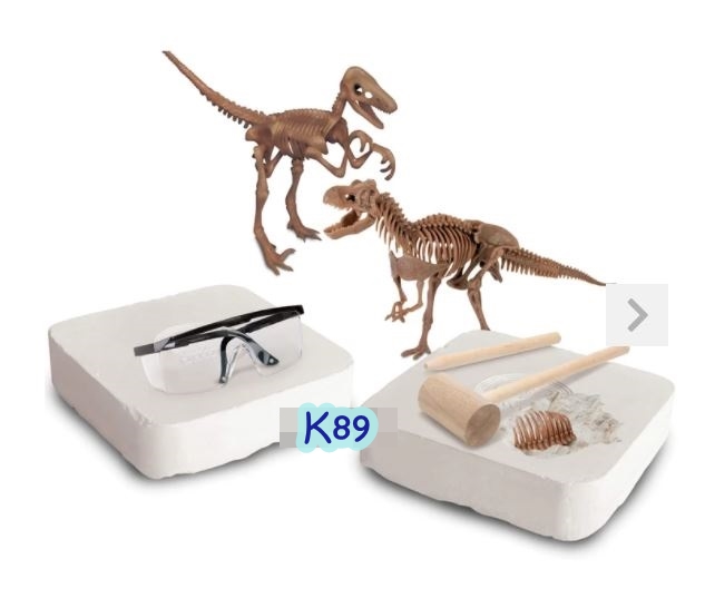 ชุดขุดฟอสซิลไดโนเสาร์