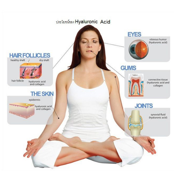 (Pre Order) Doctor's Best® Hyaluronic Acid + Chondroitin Sulfate with BioCell Collagen 60 Veggie Caps ไฮยาลูโรนิค