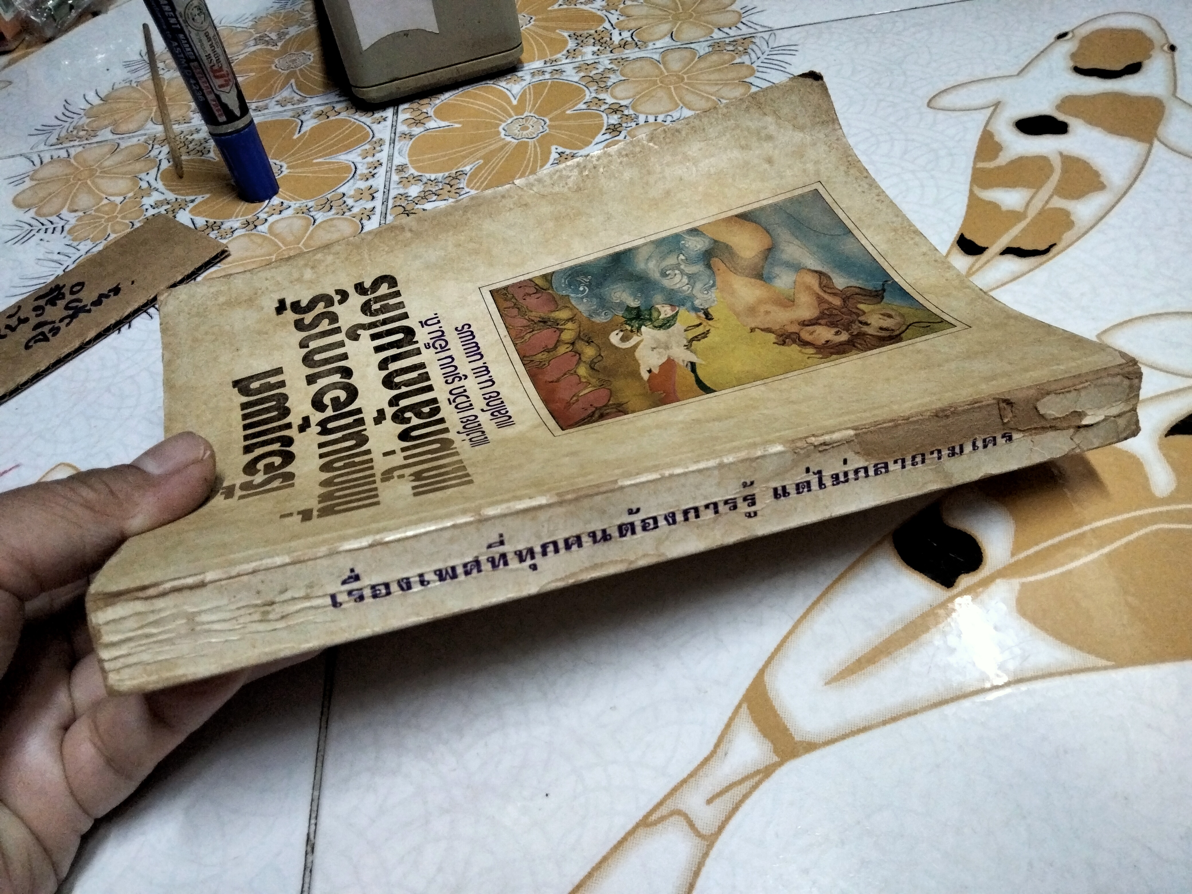 เรื่องเพศที่ทุกคนต้องการรู้แต่ไม่กล้าถามใคร โดย เดวิด รูเบน เอ็ม.ดี น.พ.นพพร แปล