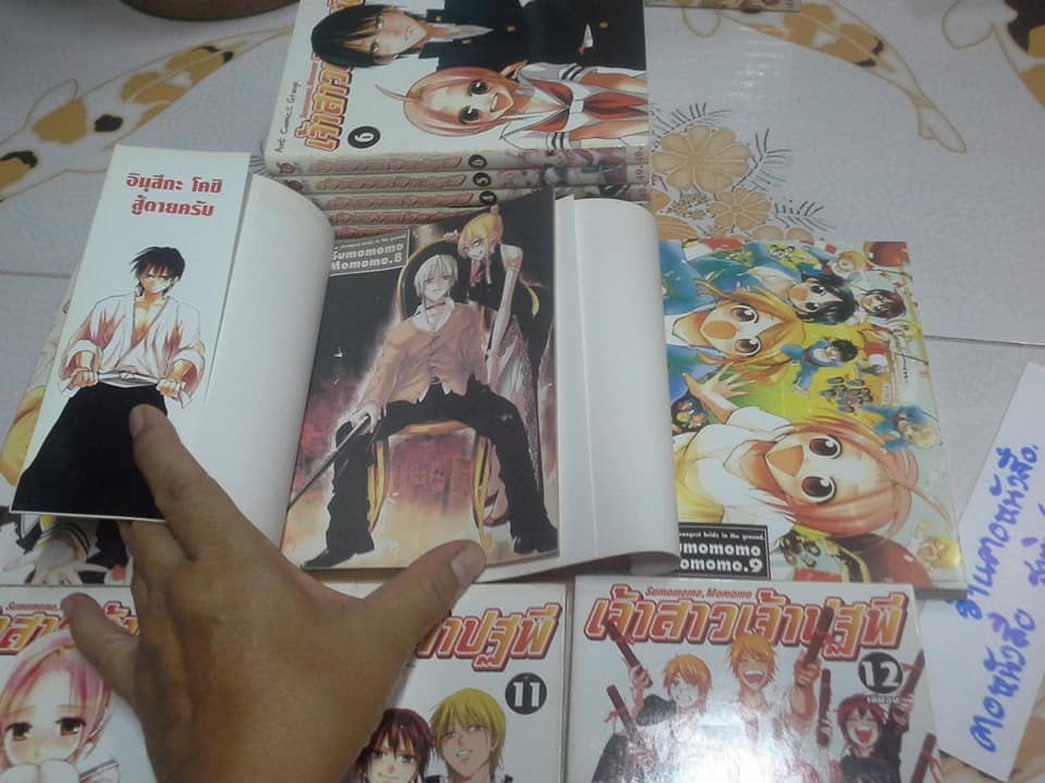 เจ้าสาวเจ้าปฐพี (12 ครบชุด) ANT COMICS GROUP **สินค้าหมด**