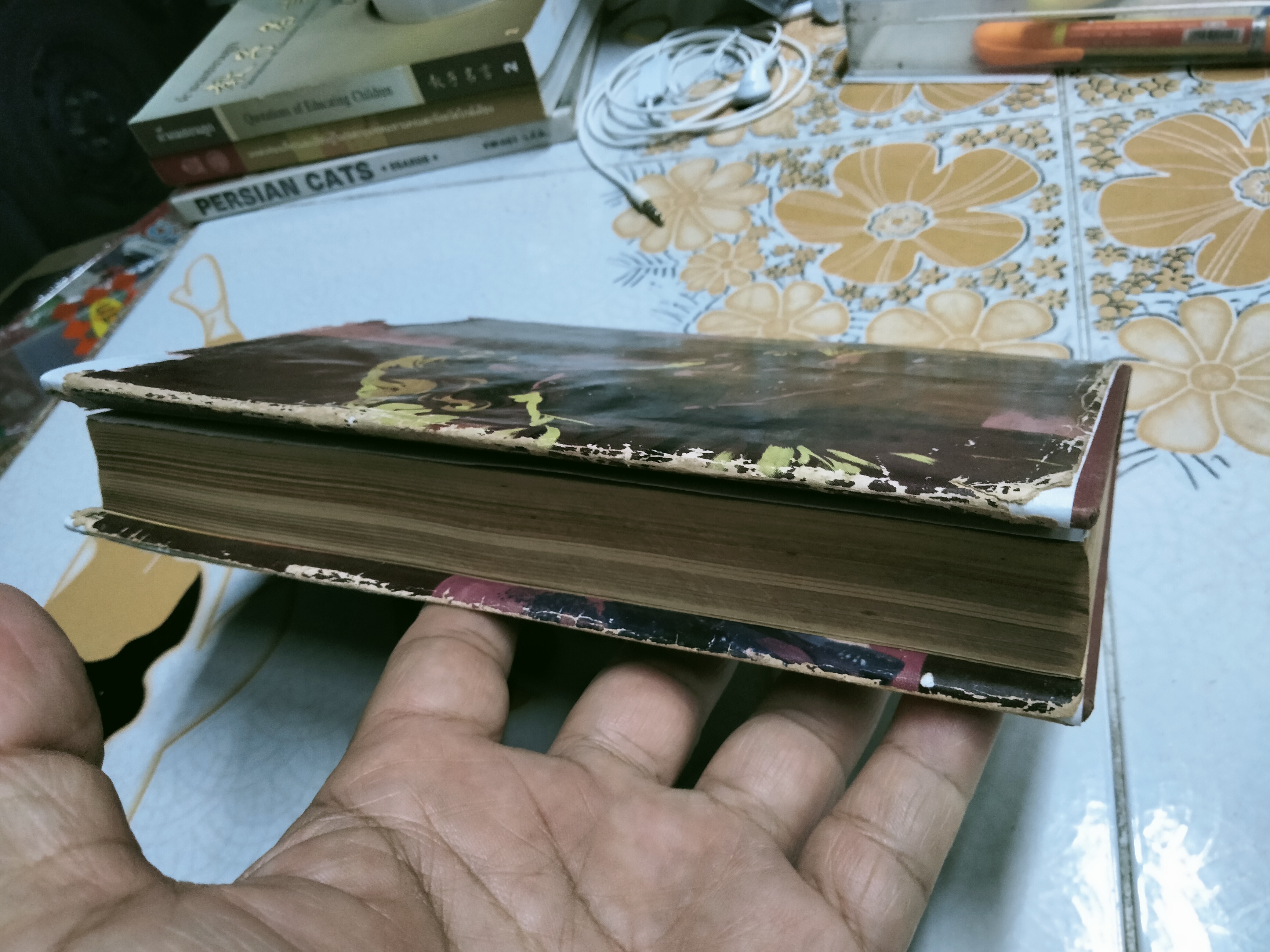 โลลิตา โดย นายตำรา ณ เมืองใต้ ถอดความจากนวนิยายเชิงจิตวิทยา เรื่อง "LOLITA" ของ Vladimir Nabokov **สินค้าหมด**