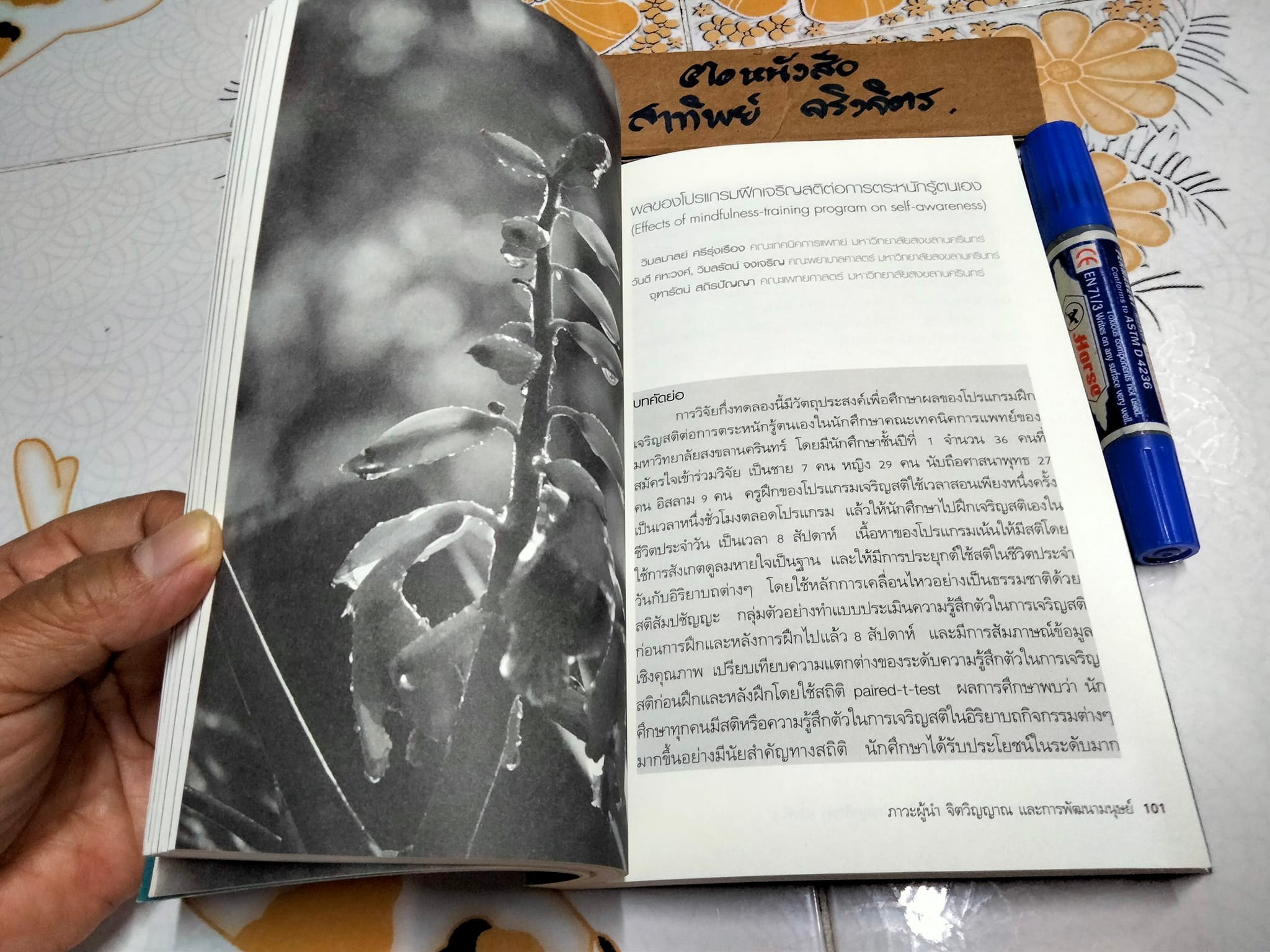 ภาวะผู้นำ จิตวิญญาณ และการพัฒนามนุษย์ (ภาษาไทย-อังกฤษ) - รวมบทความฯ