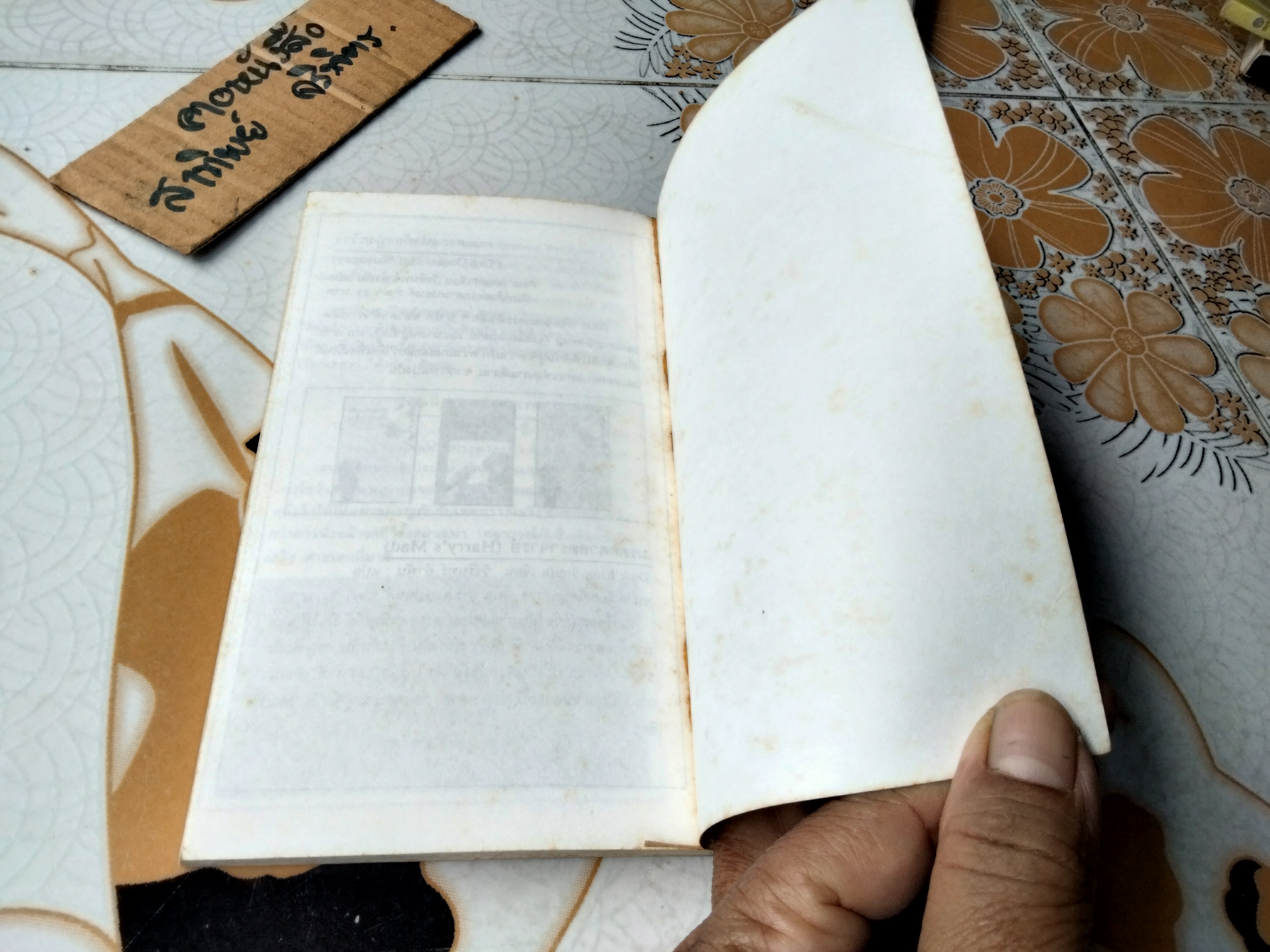 ราโมนาเด็กดี มีอายุ 8 ขวบ (Ramona Quimby Age 8) บีเวอร์ลี เคลียรี เขียน ปานตา แปลและเรียบเรียง พิมพ์ครั้งที่ 2/2531