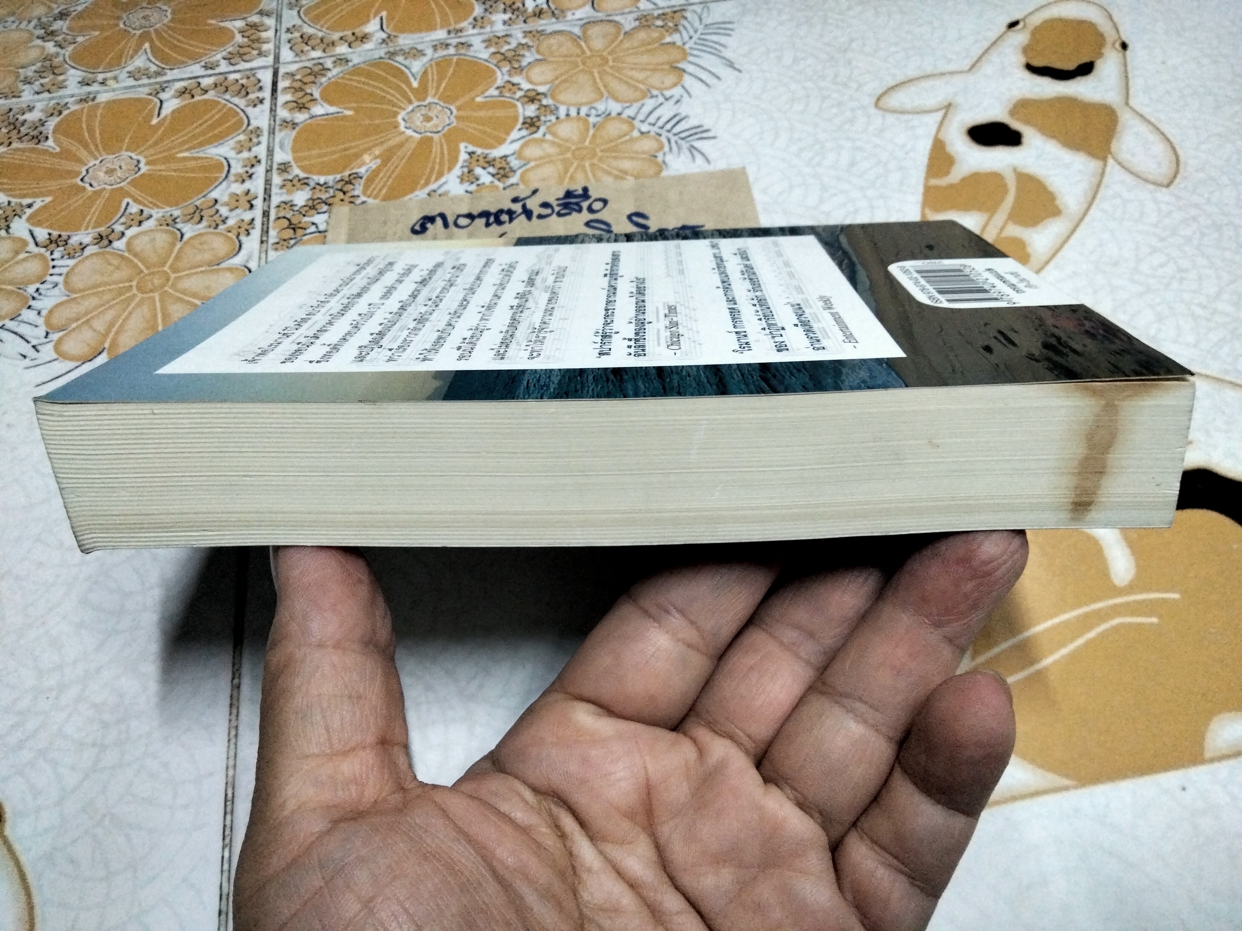 เพลงรักบทสุดท้าย The Last Song - นิโคลัส สปาร์กส์ เขียน , วรางคณา เหมศุกล แปล