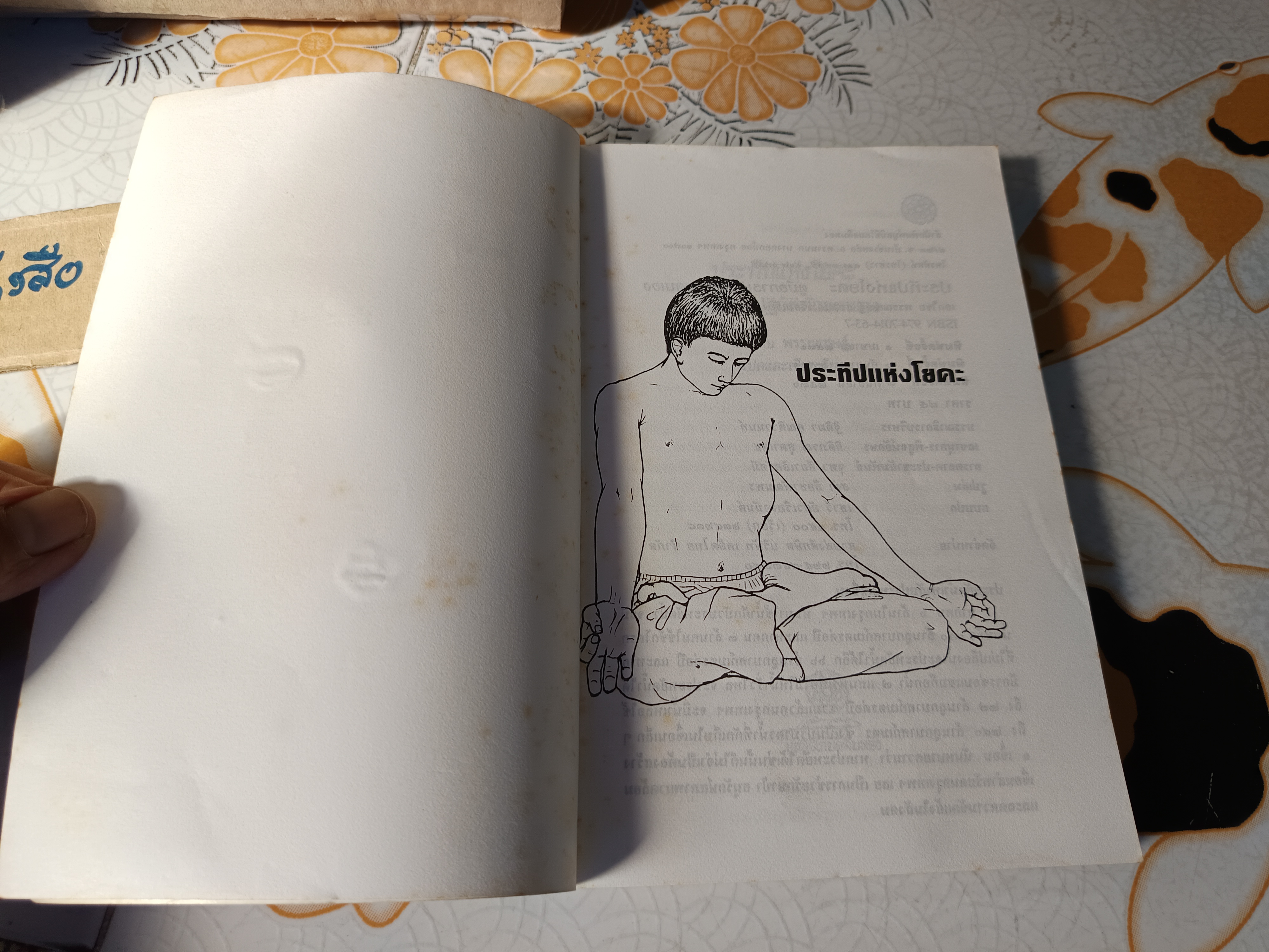 ประทีปแห่งโยคะ : คู่มือการปฏิบัติด้วยตนเอง เอกไชย พรรณเชษฐ์ แปลและเรียบเรียง พิมพ์ 3/2536 สำนักพิมพ์มูลนิธิโกมลคีมทอง