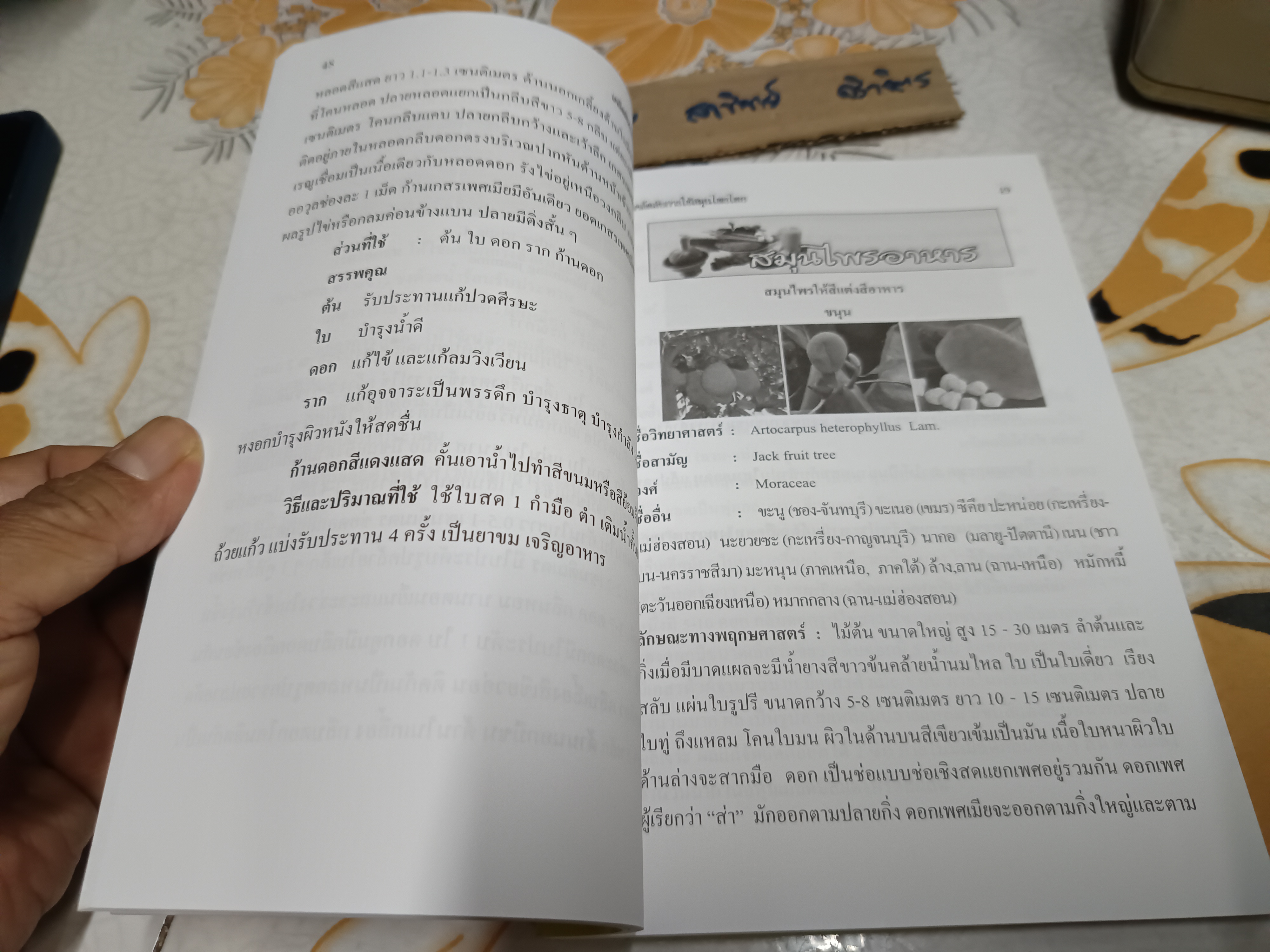 เคล็ดลับการใช้สมุนไพรไทย โดย อารีลักษณ์ อุดมแก้ว พิมพ์ครั้งแรกพ.ศ 2555
