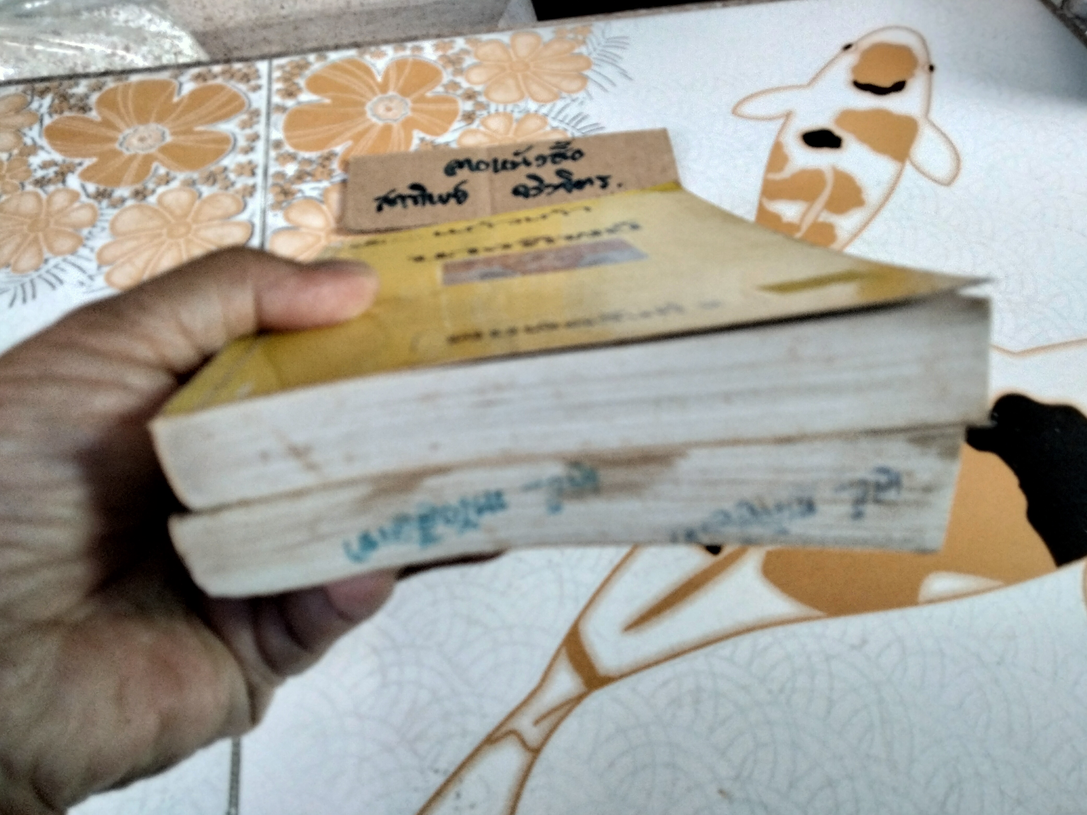 นางทิพย์ (2 เล่มจบ) แก้วเก้า (เช่า+บ้าน) **สินค้าหมด**