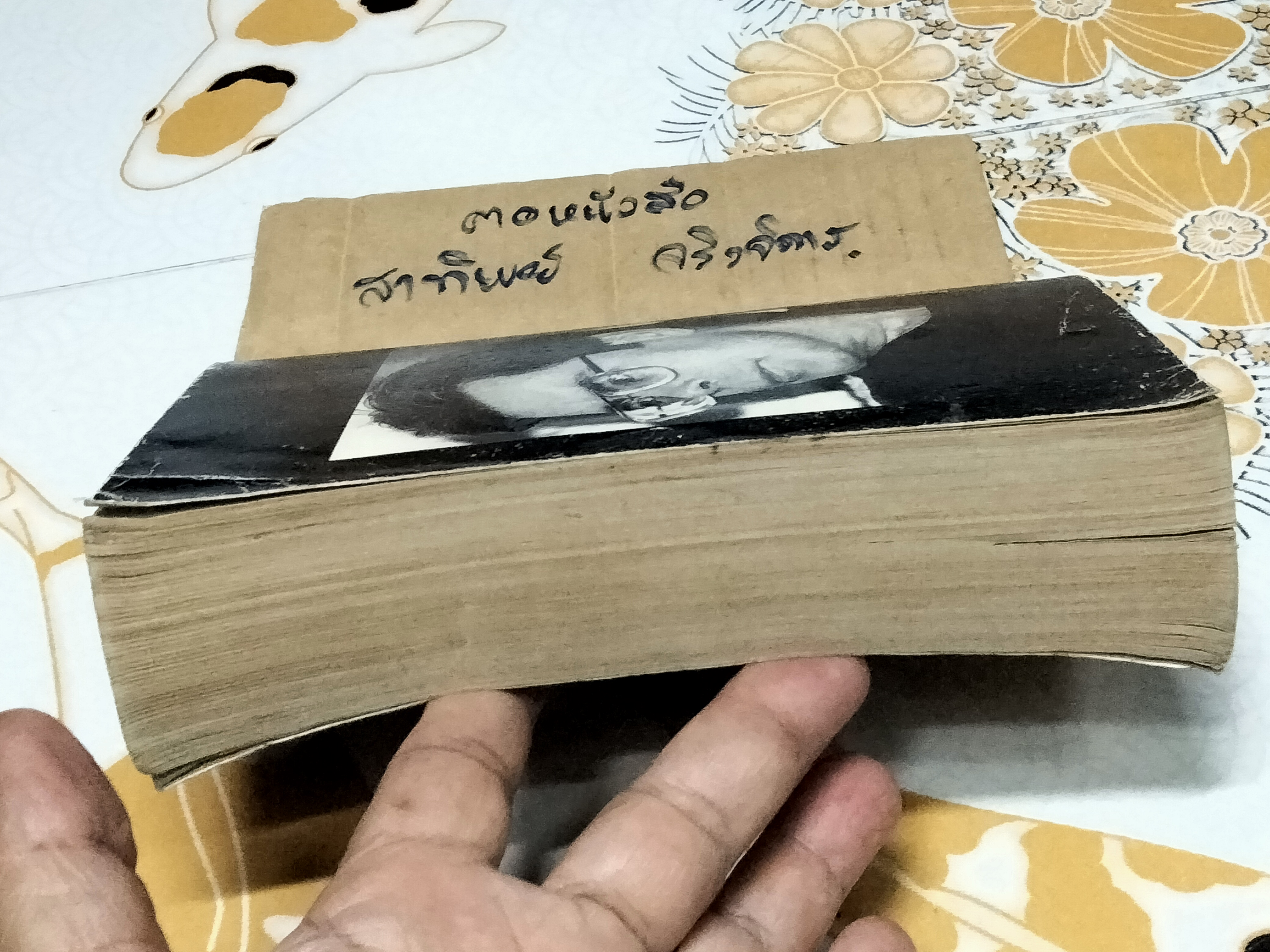 โรสแมดเดอร์ (Rose Madder) Stephen King เขียน - สุวิทย์ ขาวปลอด แปล **สินค้าหมด**