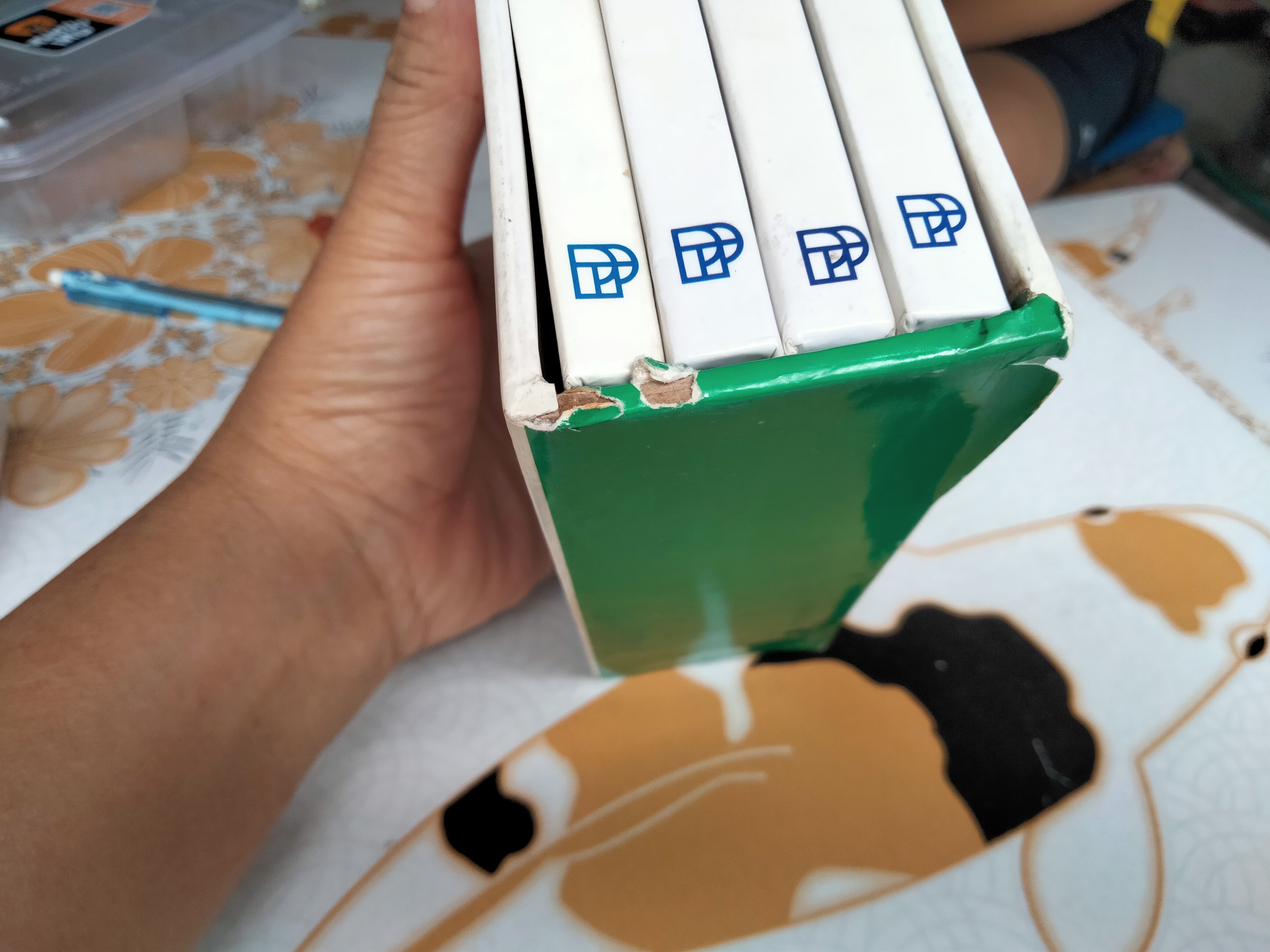 หนังสือชุดนักสำรวจน้อย-ลมฟ้าอากาศ, ดอกไม้, แมลง ,นก (Boxset) **สินค้าหมด**