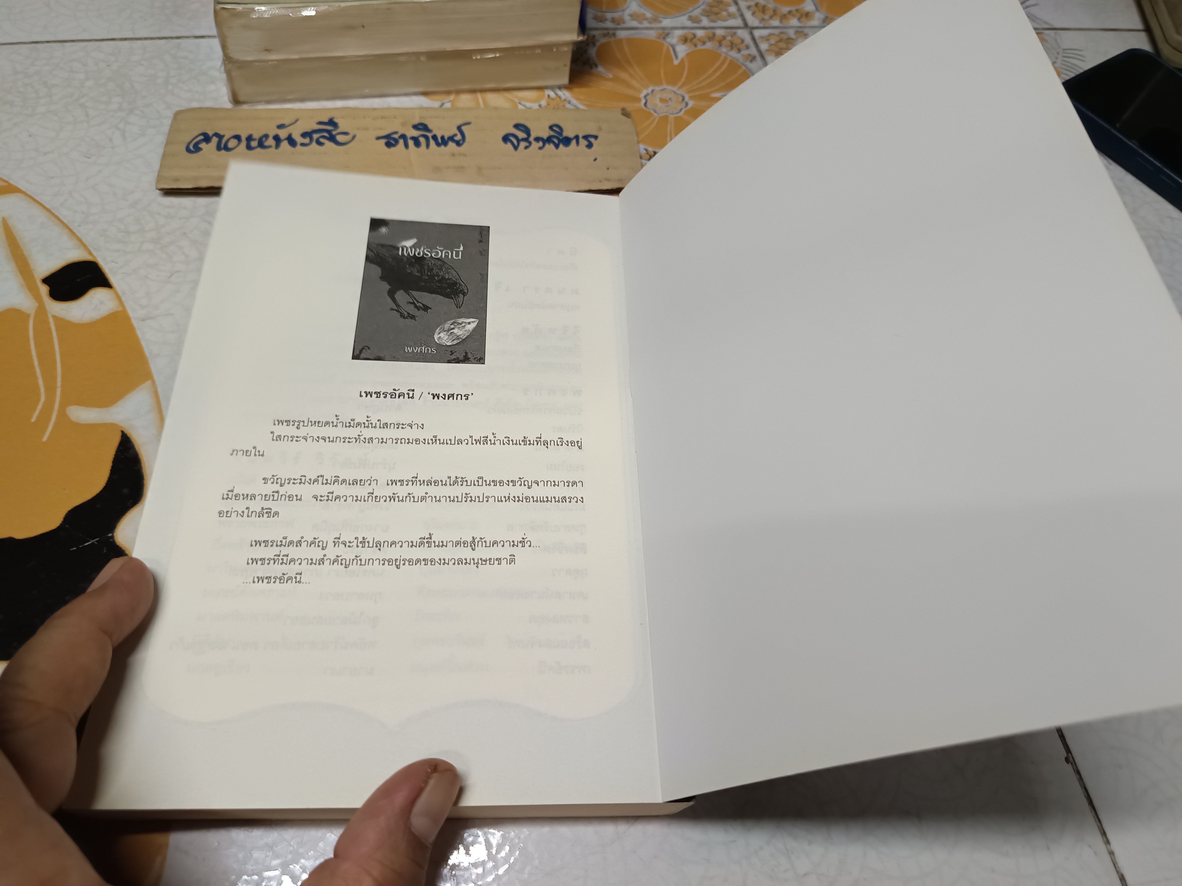 มายาเงา (เล่มเดียวจบ) พงศกร