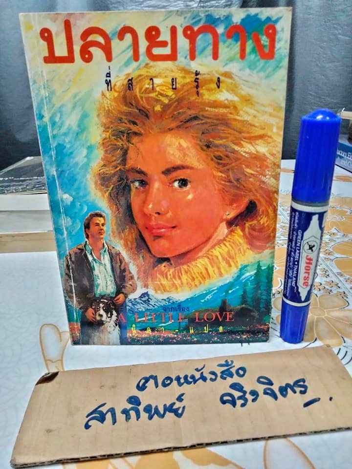 ปลายทางที่สายรุ้ง (A Little Love) - นิดา แปล