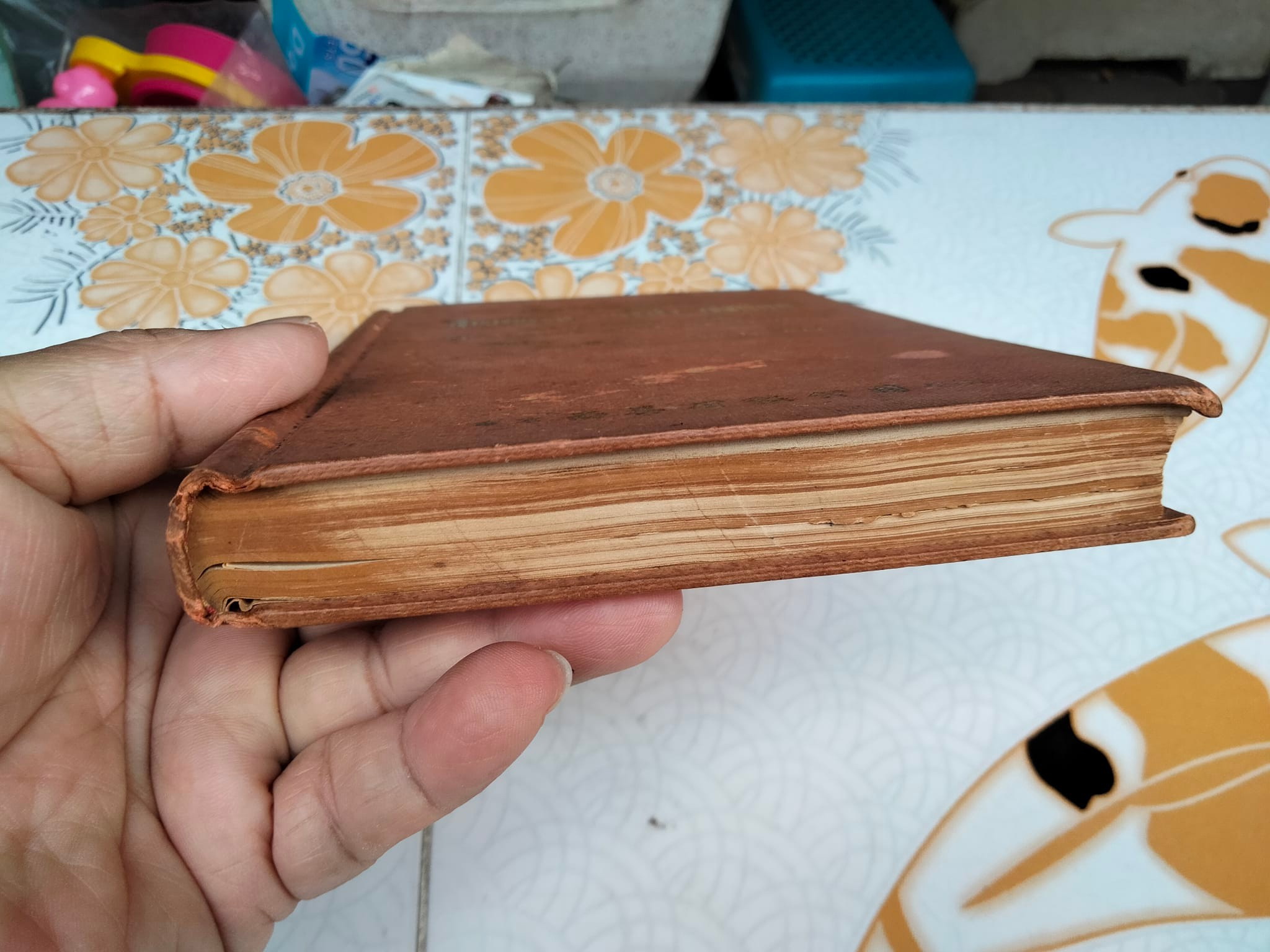 ตำราเรียนพูดภาษา จีนกลาง-แต้จิ๋ว-อังกฤษ (Colloquial Chinese-English Sentences) โดย วายจิง เจ เยาเปา วอง