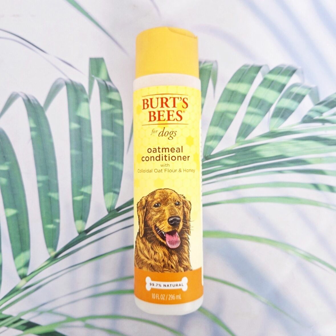 Burt's Bees® Shampoo & Conditioner for Dogs แชมพูและครีมนวดอาบน้ำ สำหรับสุนัข