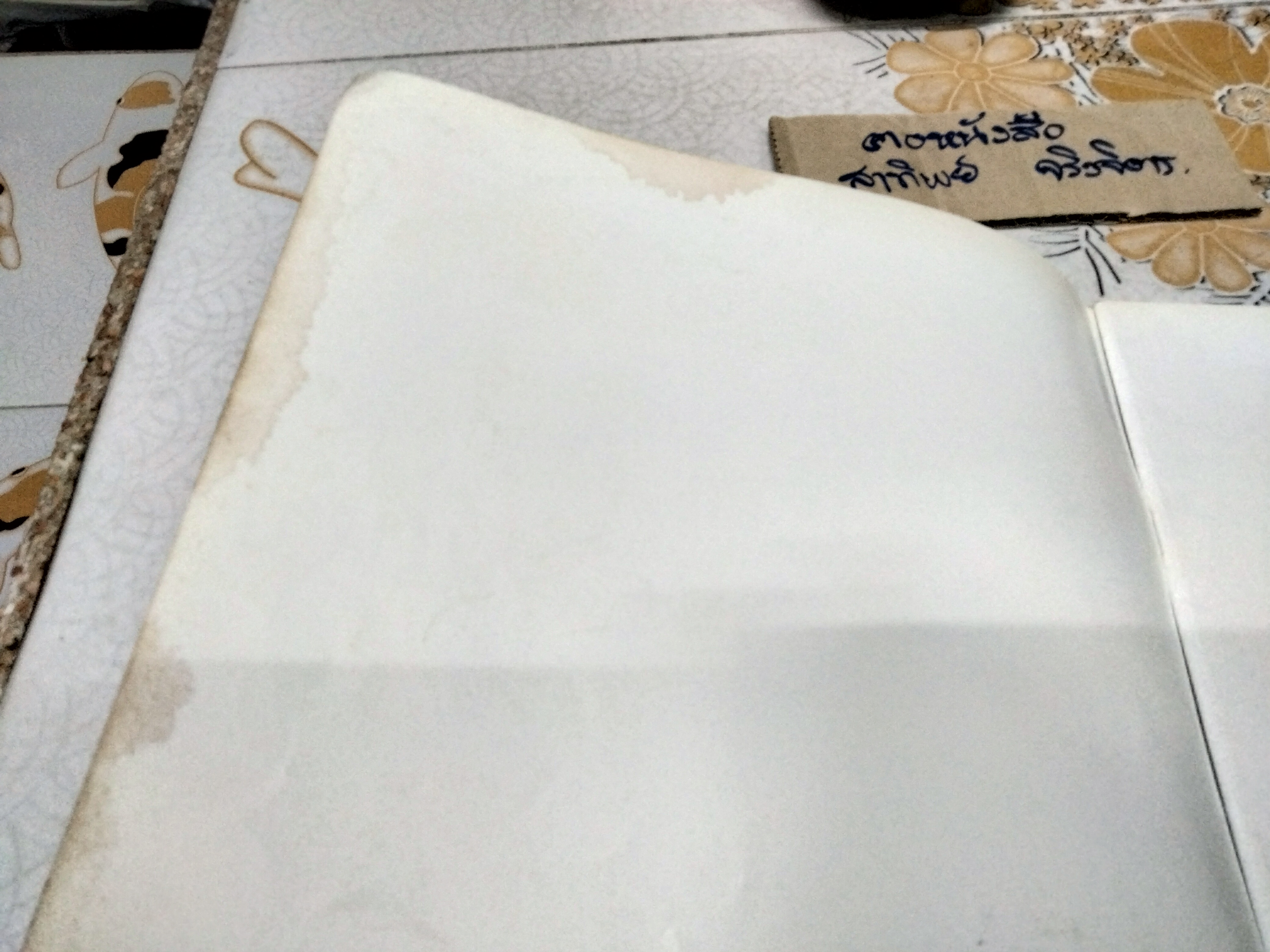 ห้าพี่น้องกับของเล่นใหม่ เรื่องและภาพโดย วิภาวี ฉกาจทรงศักดิ์