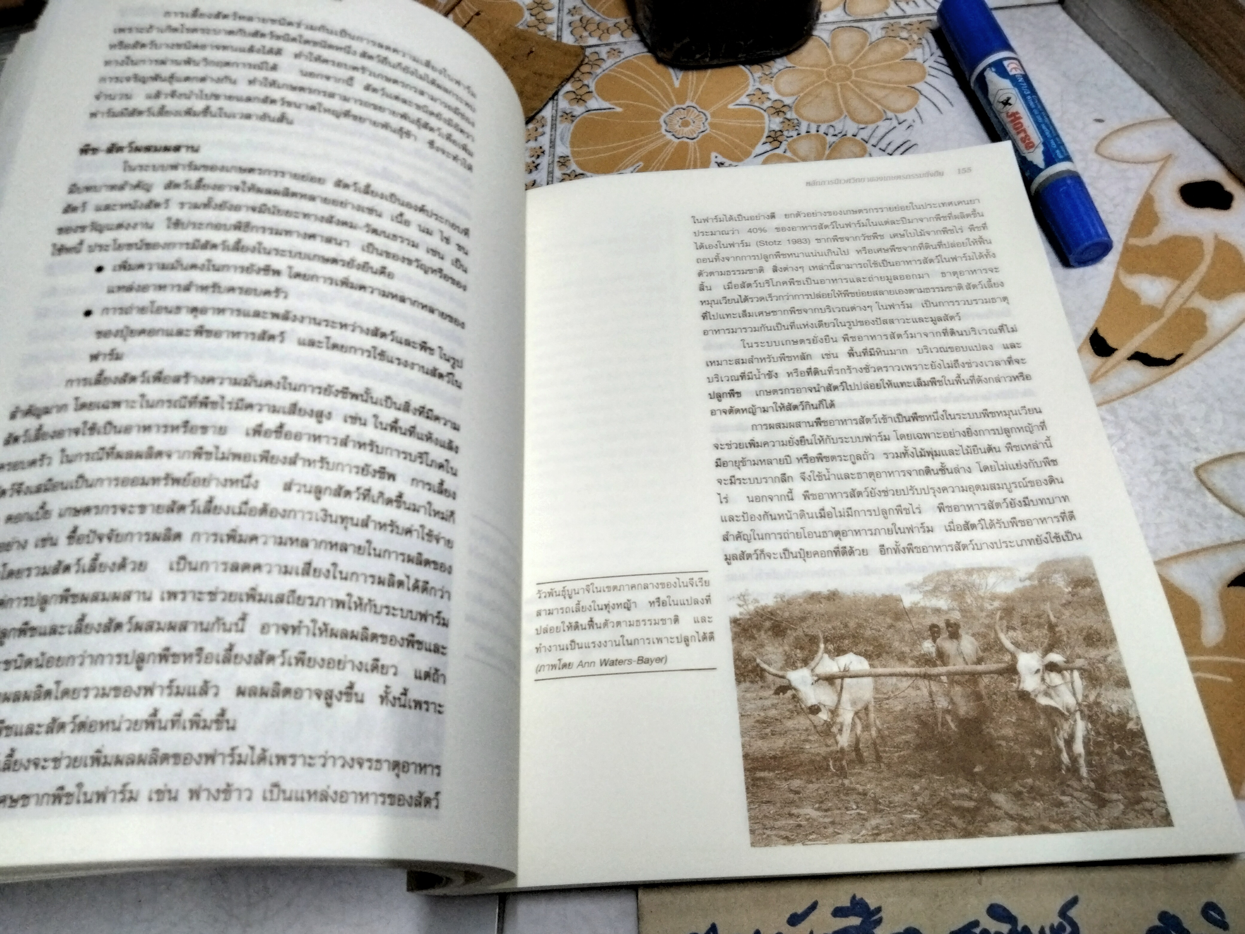 เกษตรยั่งยืน วิถีการเกษตรเพื่ออนาคต วิฑูรย์ ปัญญากุล แปลและเรียบเรียงจากหนังสือ Farming For the Future. มูลนิธิสายใยแผ่นดิน