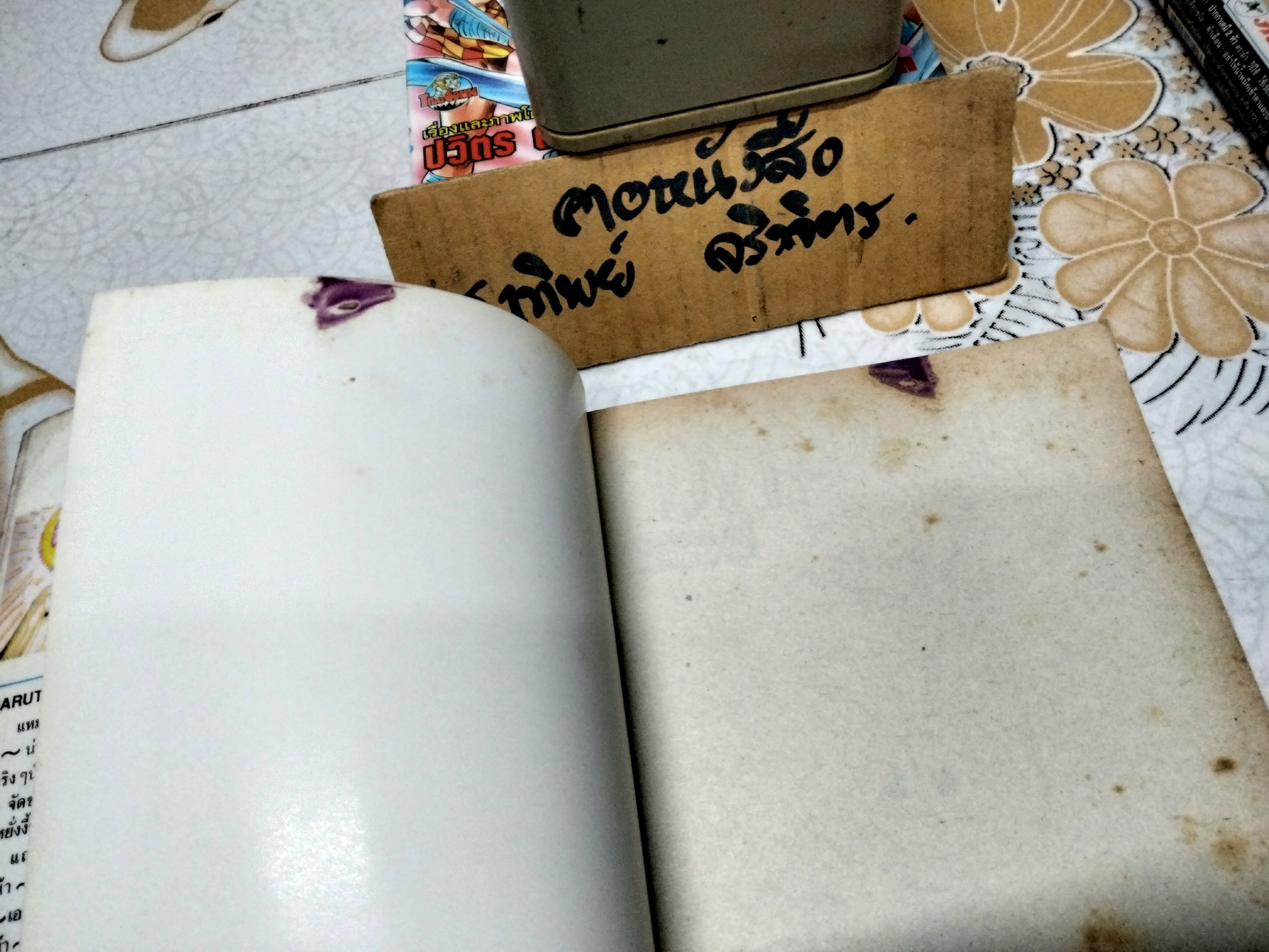 LOVE & PEACE - HARUTO UMEZAWA (เล่มเดียวจบ)