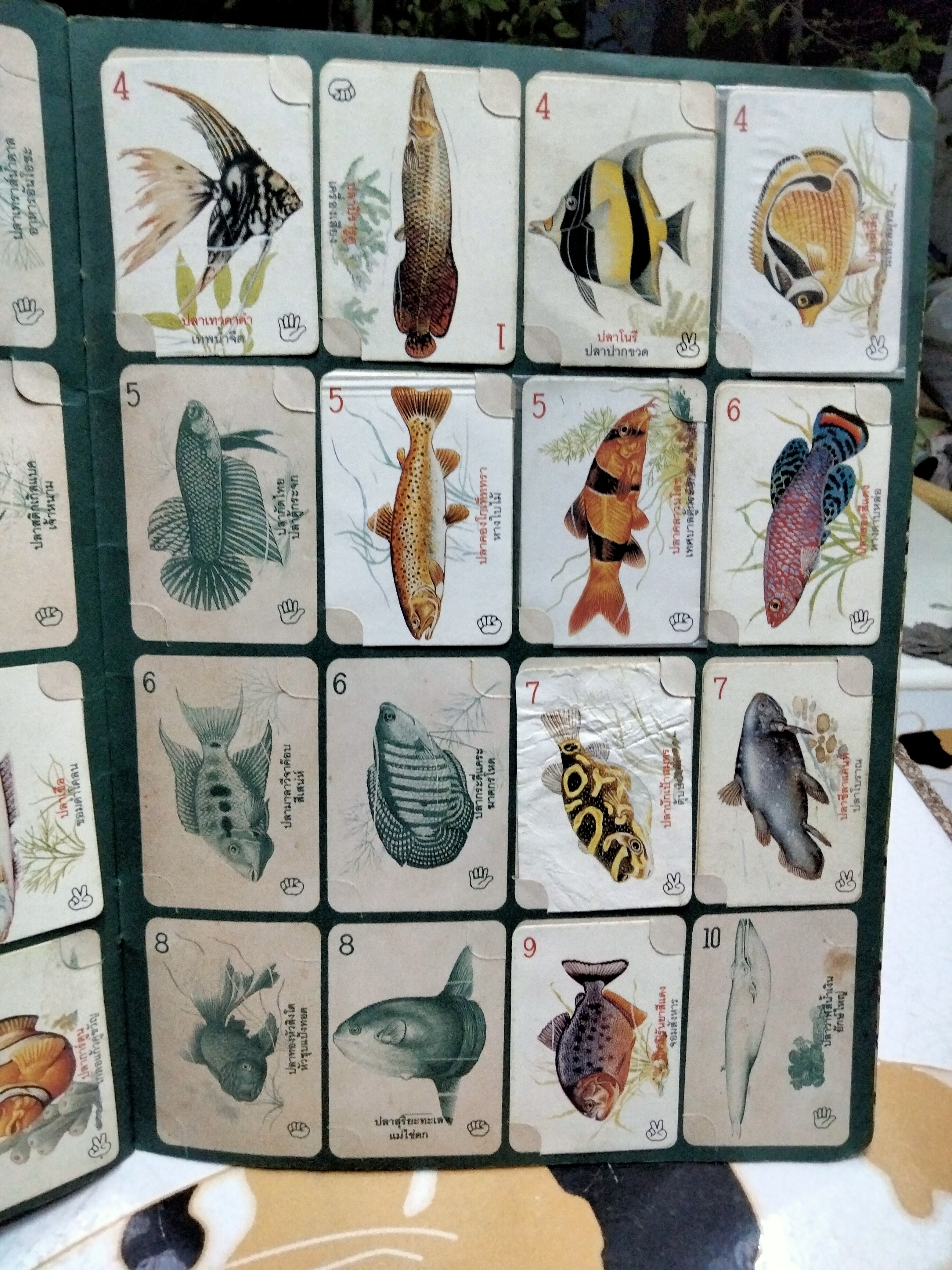 สมุดสะสมภาพสัตว์โลกแสนรัก (มีการ์ด 21 ใบ จาก 120 ใบ) **สินค้าหมด**