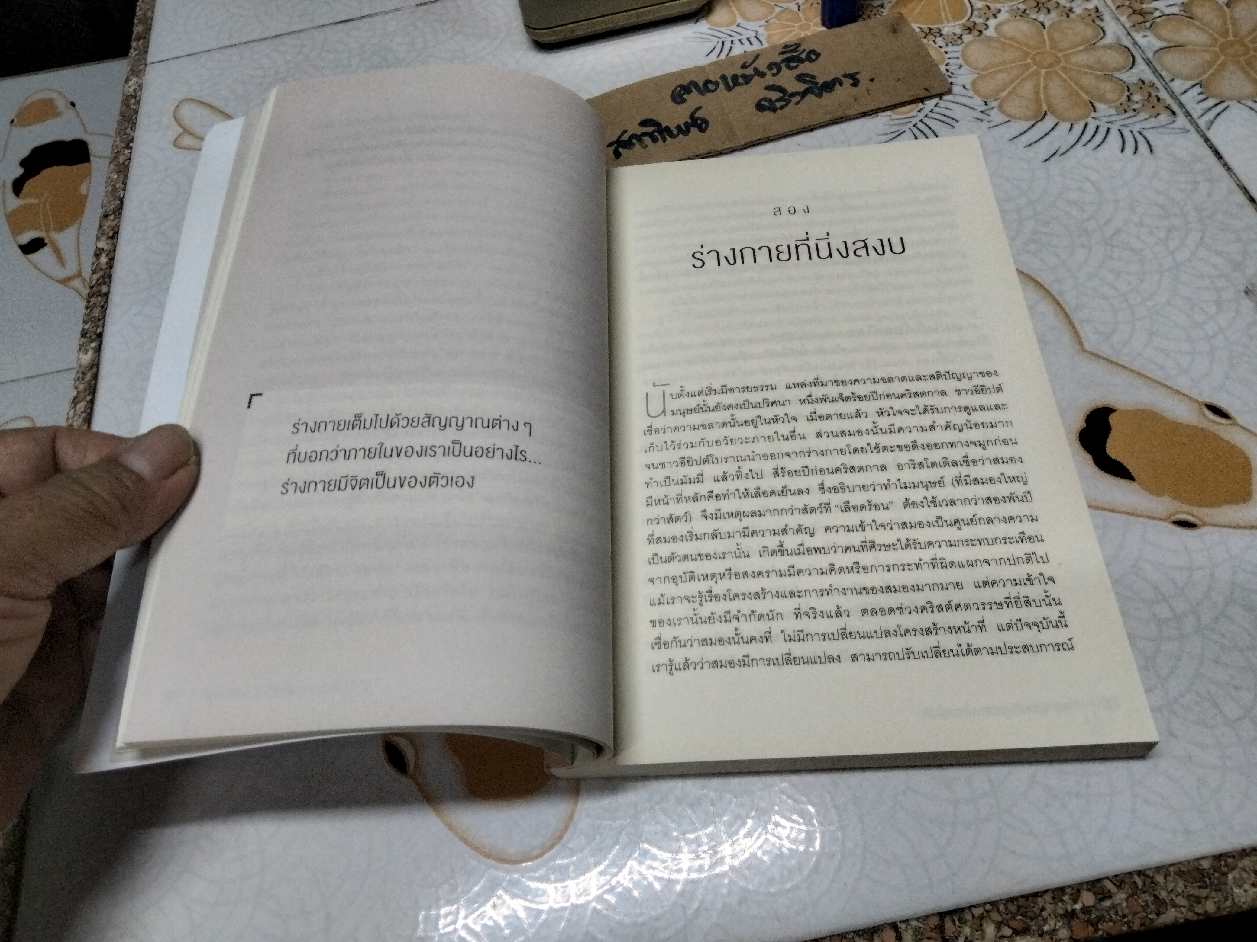 THE MAGIC SHOP เราทุกคนล้วนมีร้านเวทมนตร์อยู่ในใจ ผู้เขียน James R. Doty, M.D. (เจมส์ อาร์. โดตี, ดร.) ผู้แปล นพ. นที สาครยุทธเดช **สินค้าหมด**