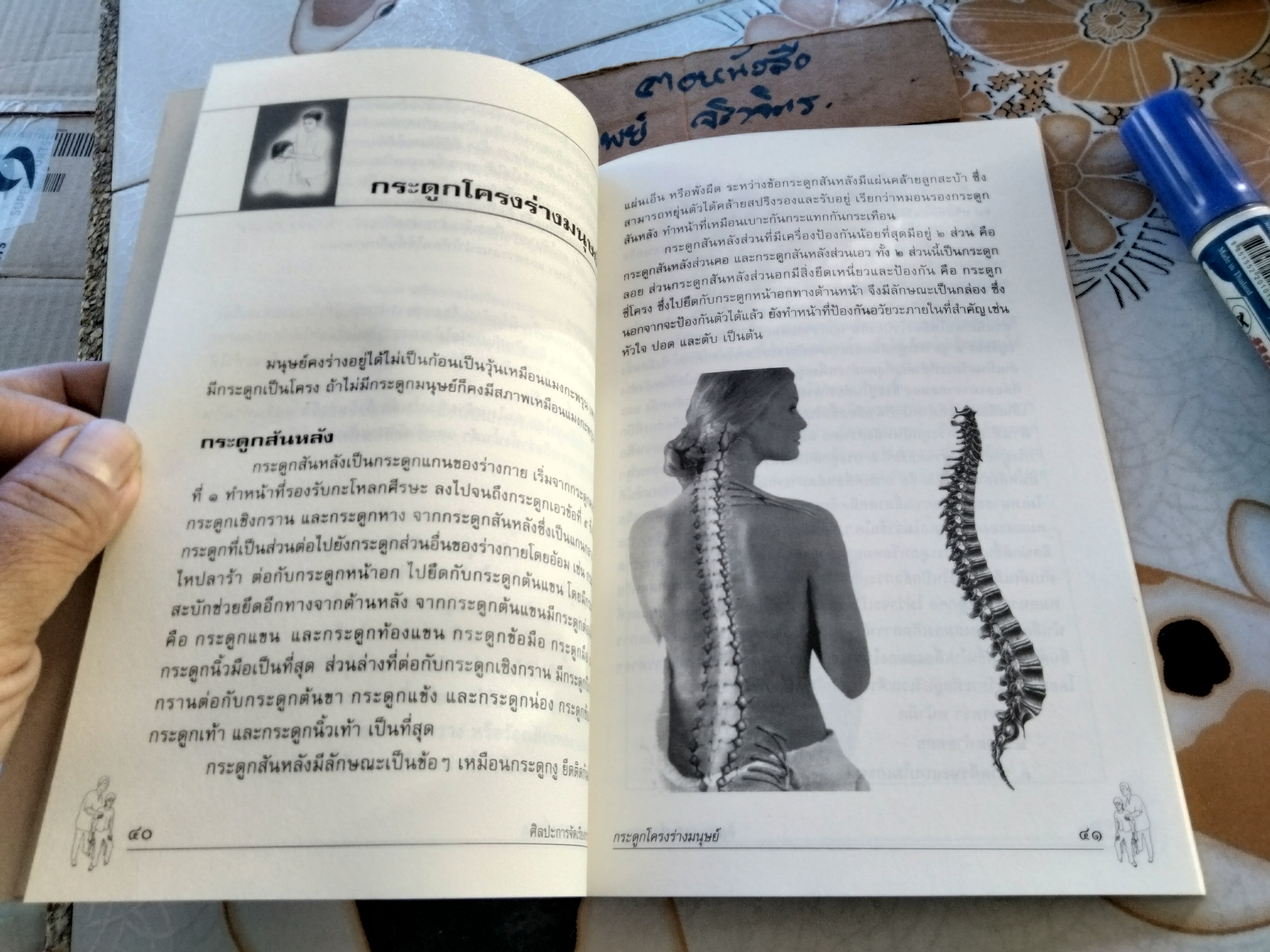 ศิลปะการจัดเรียงกระดูก โดย พิสิฐ วงศ์วัฒนะ **สินค้าหมด*"