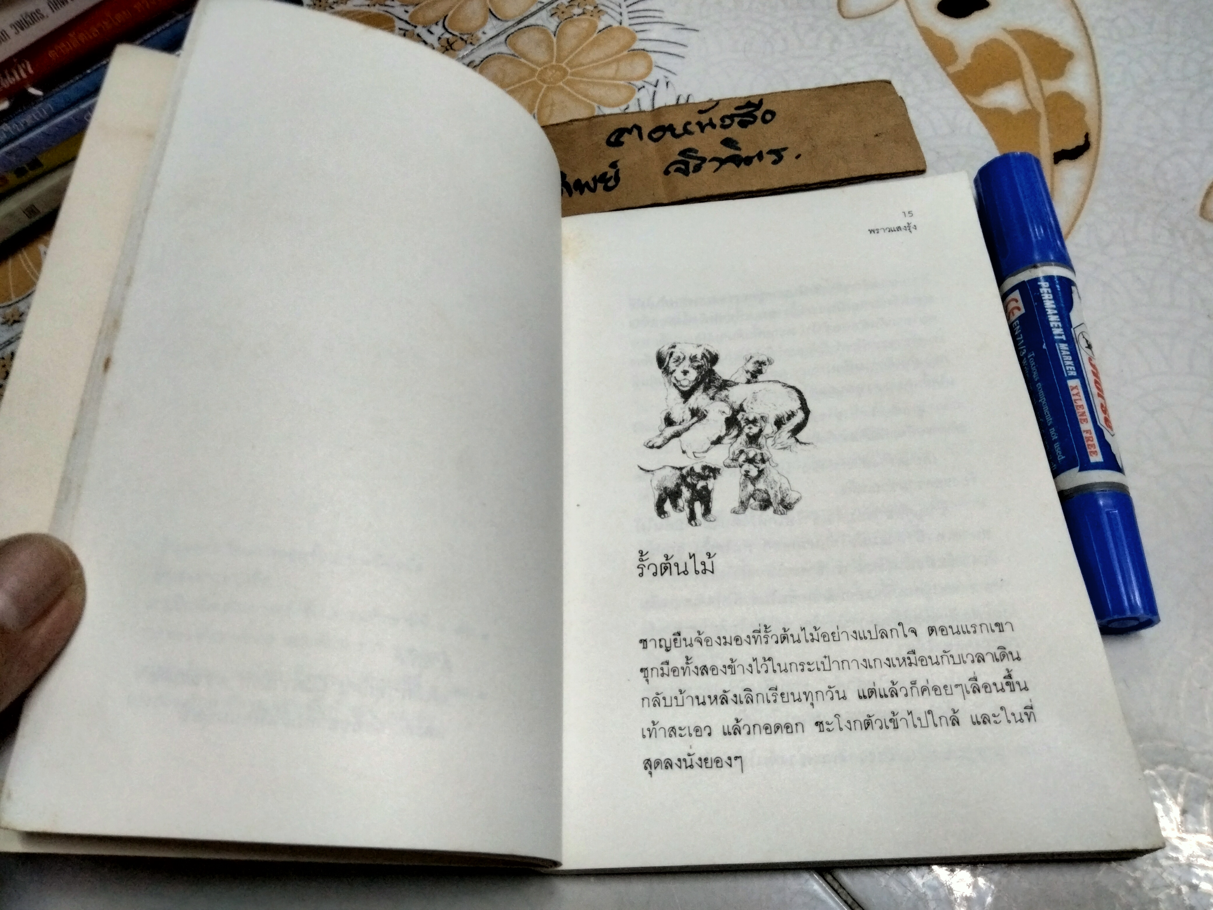 พราวแสงรุ้ง โดย วาวแพร ภาพปกโดย อิวาซากิ ซิฮิโร (IWASAKI CHIHIRO) สำนักพิมพ์หนังสือเยาวชน พิมพ์ครั้งแรก 2529 **สินค้าหมด**
