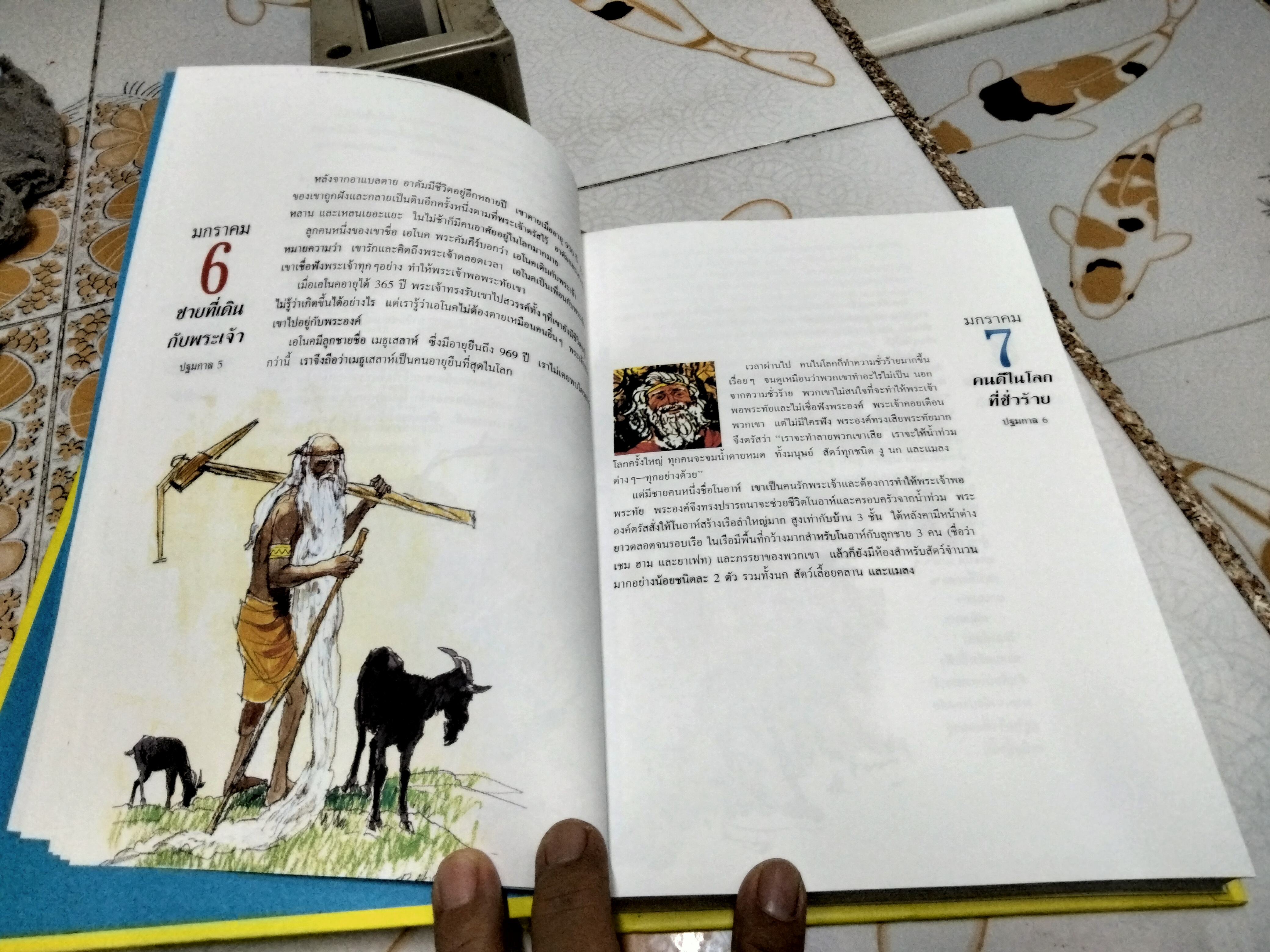 เรื่องเล่า 365 วัน (ปกแข็ง) Virginia J. Muir (เวอร์จิเนีย เจ. มิวเออร์) **สินค้าหมด**