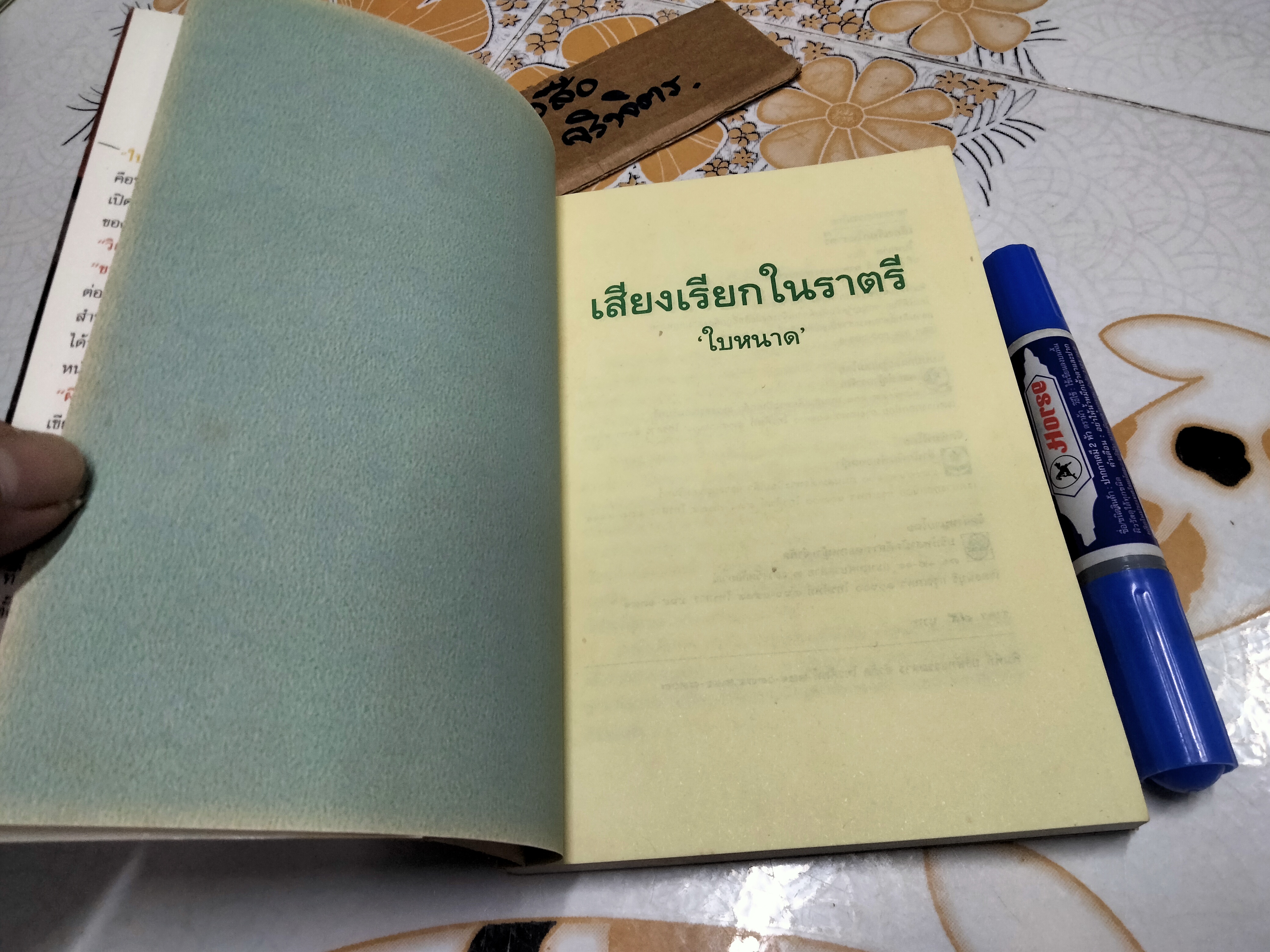 เสียงเรียกในราตรี โดย ใบหนาด (ณรงค์ จันทร์เรือง)