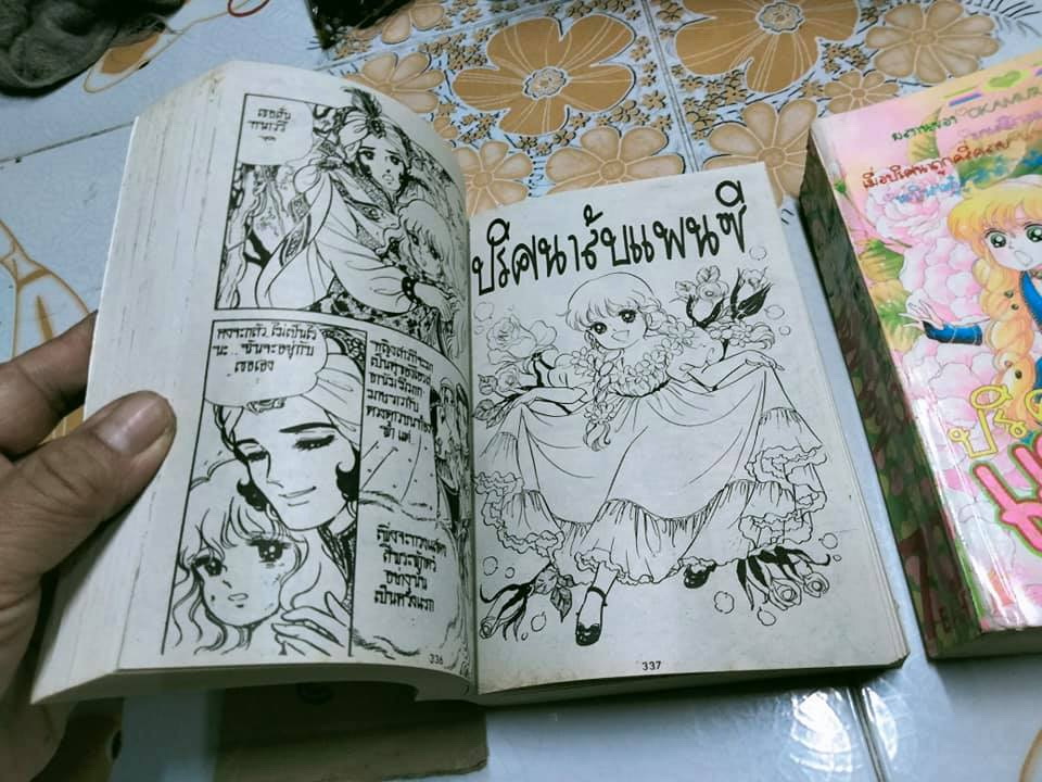 ปริศนาลับแพนซี (2 เล่มจบ) ผลงาน Okamura Mariko **สินค้าหมด**