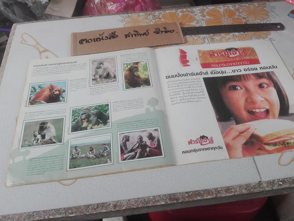 สมุดสะสมสติกเกอร์ ชีวิตสัตว์โลก (แปะครบ 240 รูป) ** สินค้าหมด**