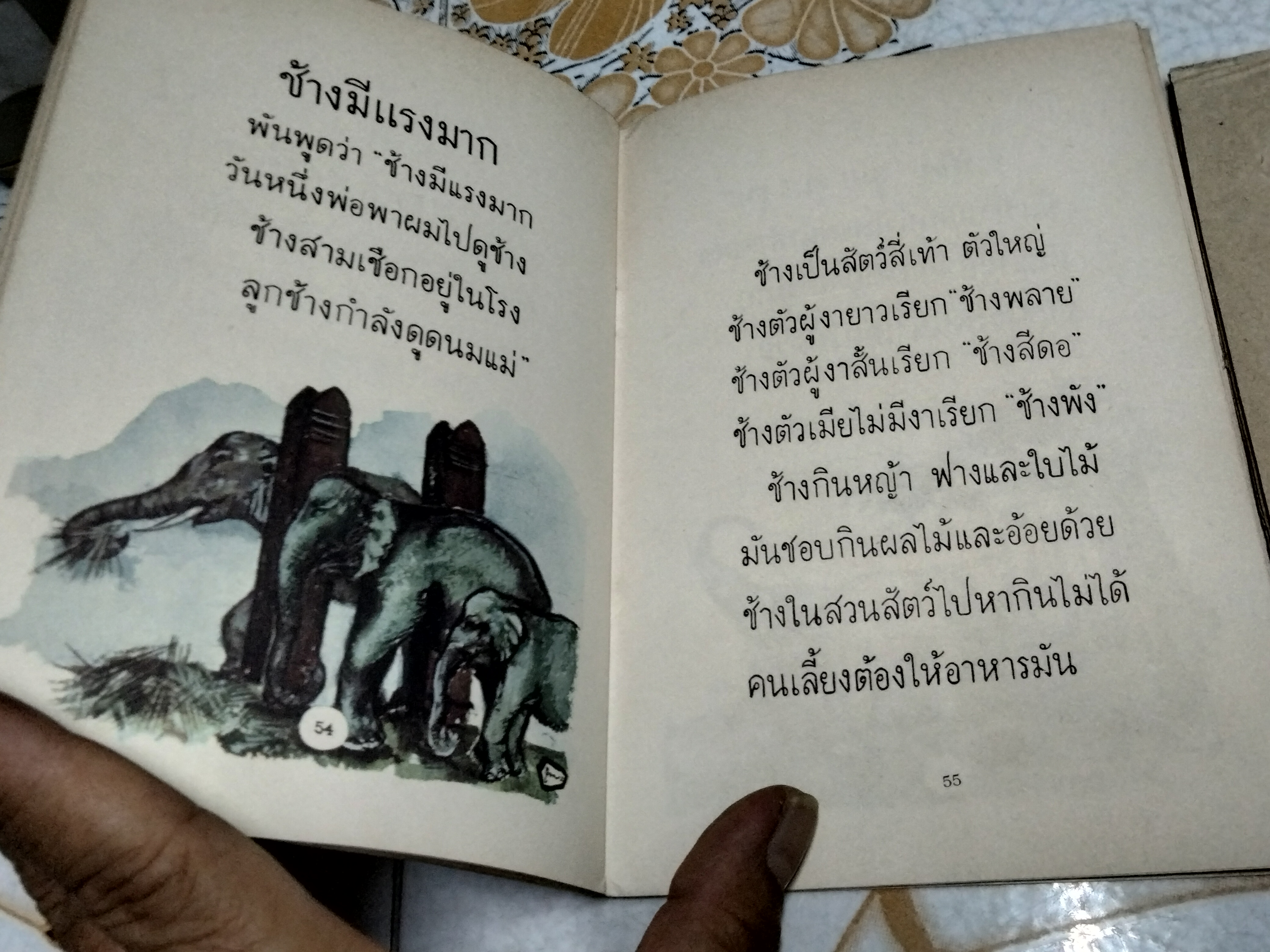 หนังสือแบบเรียนเก่า - แบบสอนอ่านวิทยาศาสตร์เบื้องต้น เรื่อง สัตว์ที่เรารู้จัก ชั้นประถมปีที่ 1 ของ กระทรวงศึกษาธิการ พิมพ์ครั้งที่ 7 พ.ศ 2513 **สินค้าหมด**