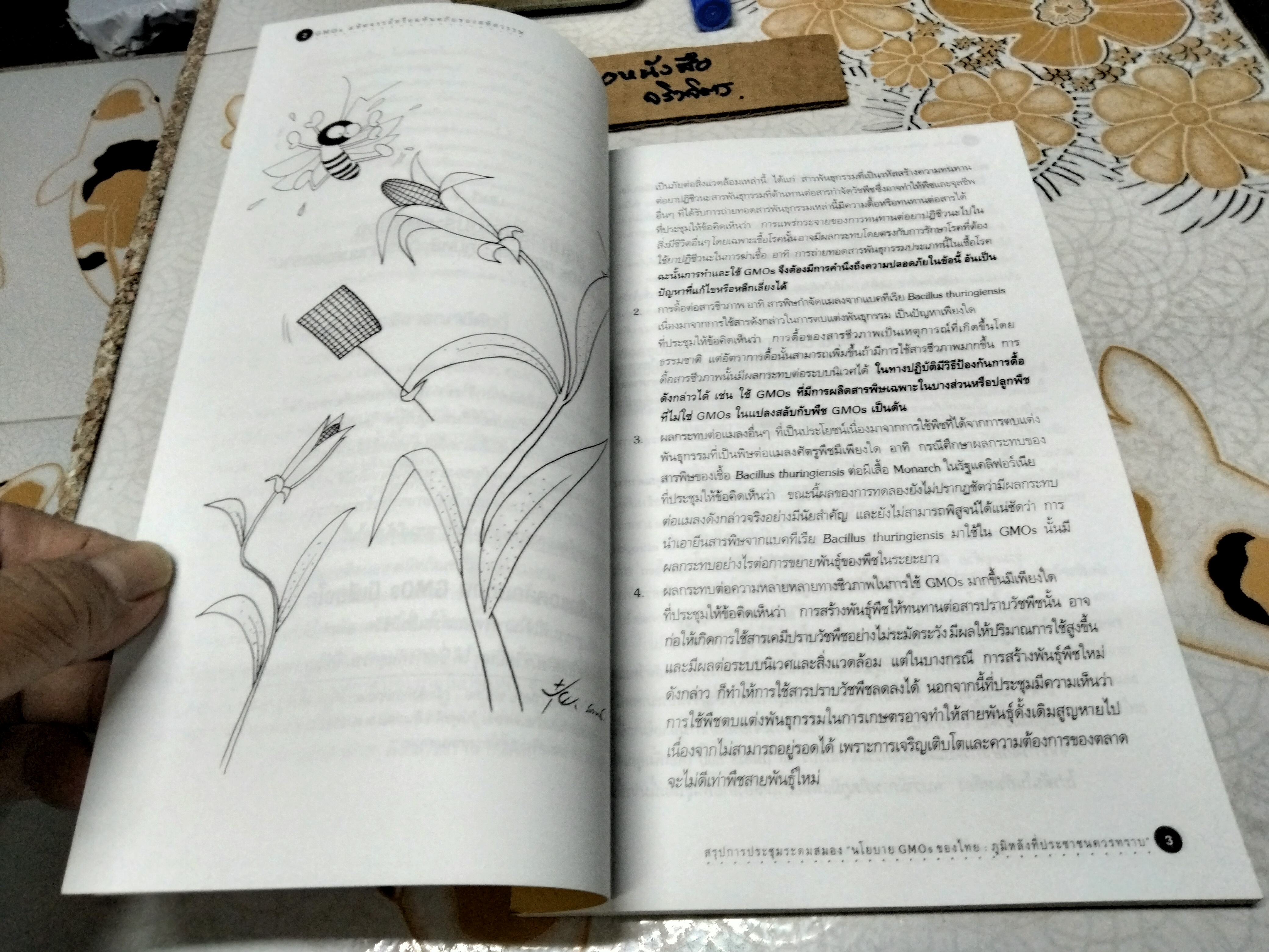 GMOs มหัศจรรย์หรือมหันตภัยของสหัสวรรษ โดย มูลนิธิบัณฑิตยสภาวิทยาศาสตร์และเทคโนโลยีแห่งประเทศไทย พิมพ์ครั้งแรกพ.ศ 2543