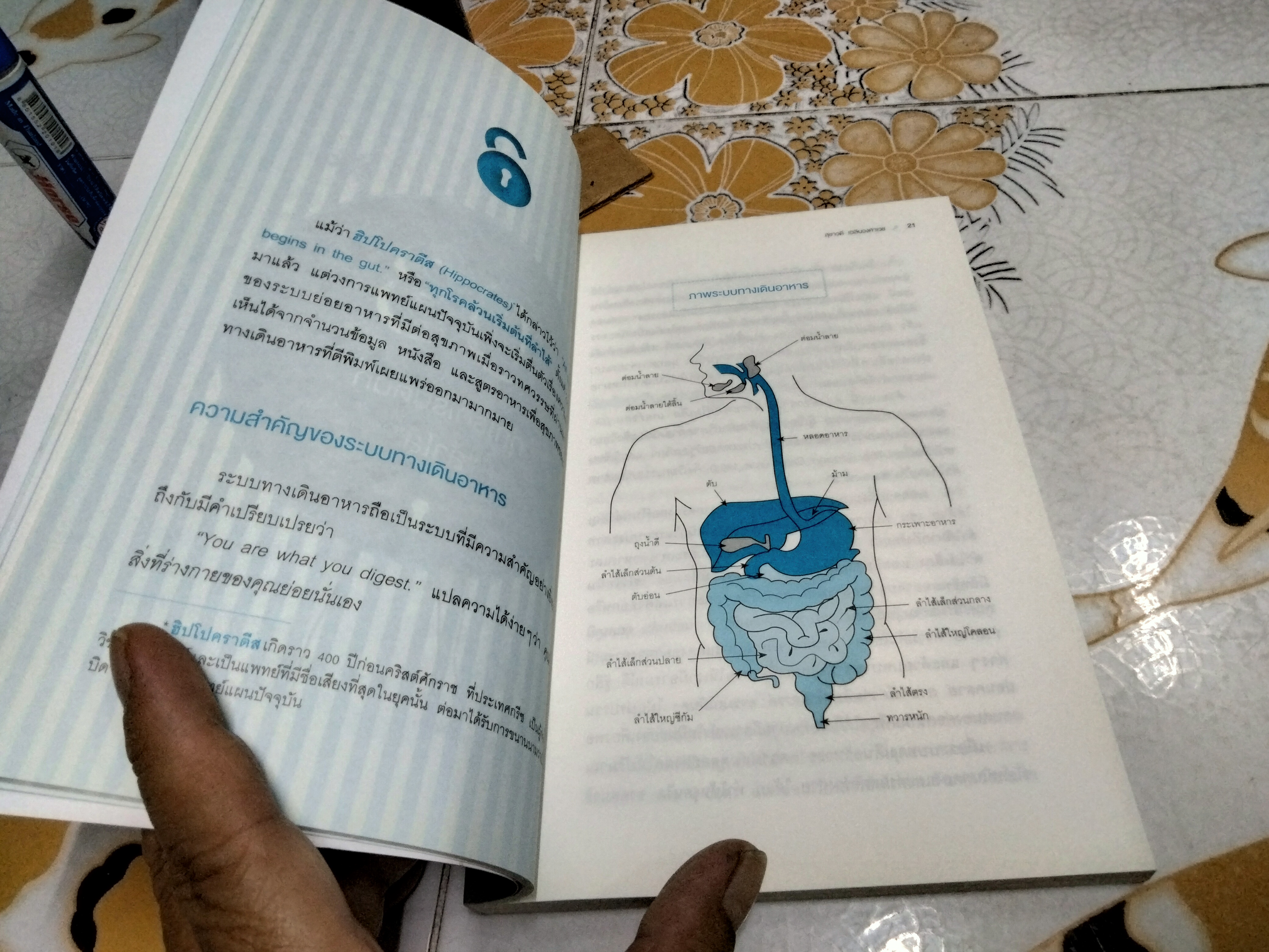 ลำไส้ดี ไม่มีโรค โดยสุชาวดี เฉลิมวงศาเวช **สินค้าหมด**