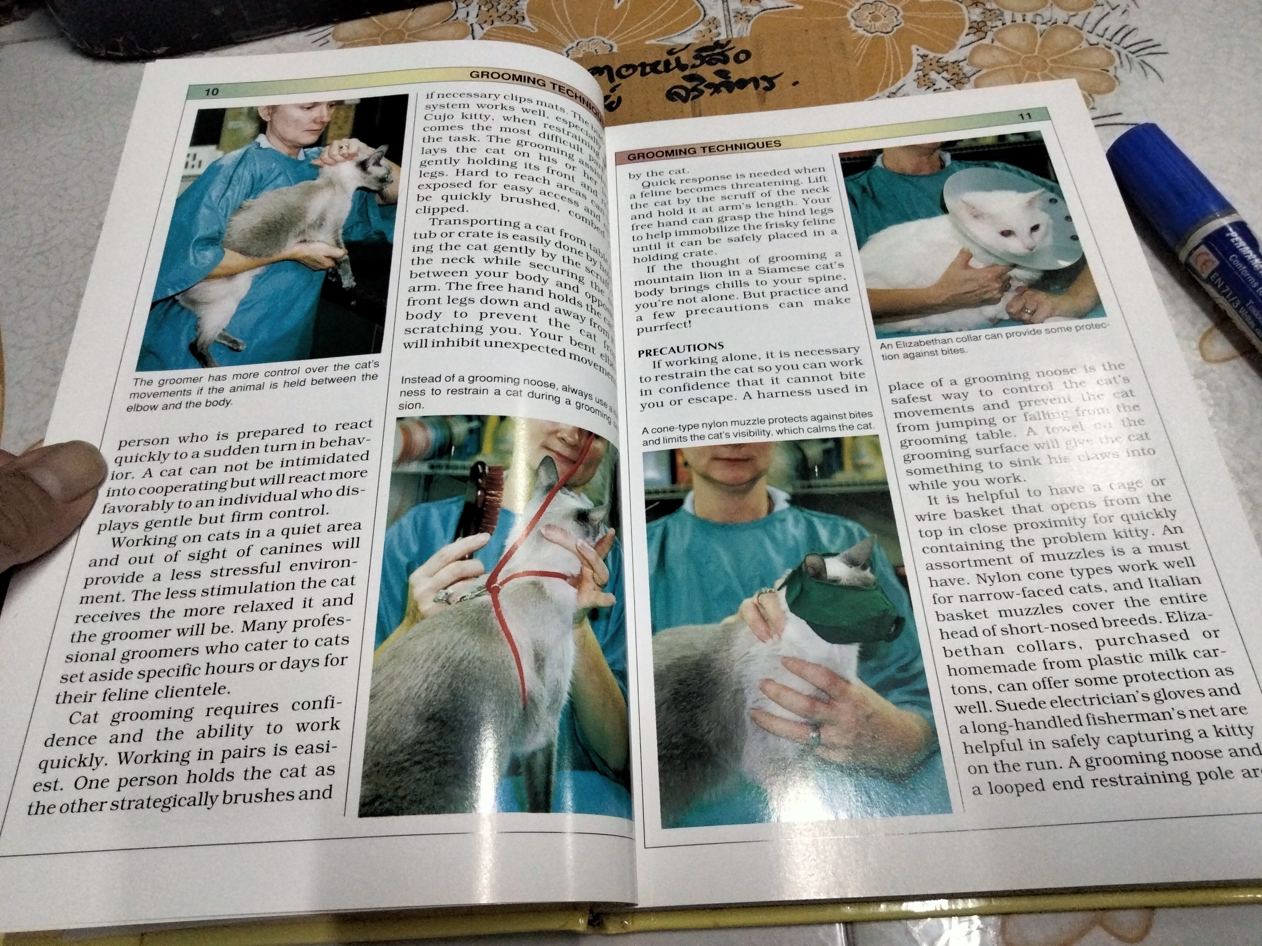 Skin & Coat Care for Your Cat Compiled by Lowell Ackerman