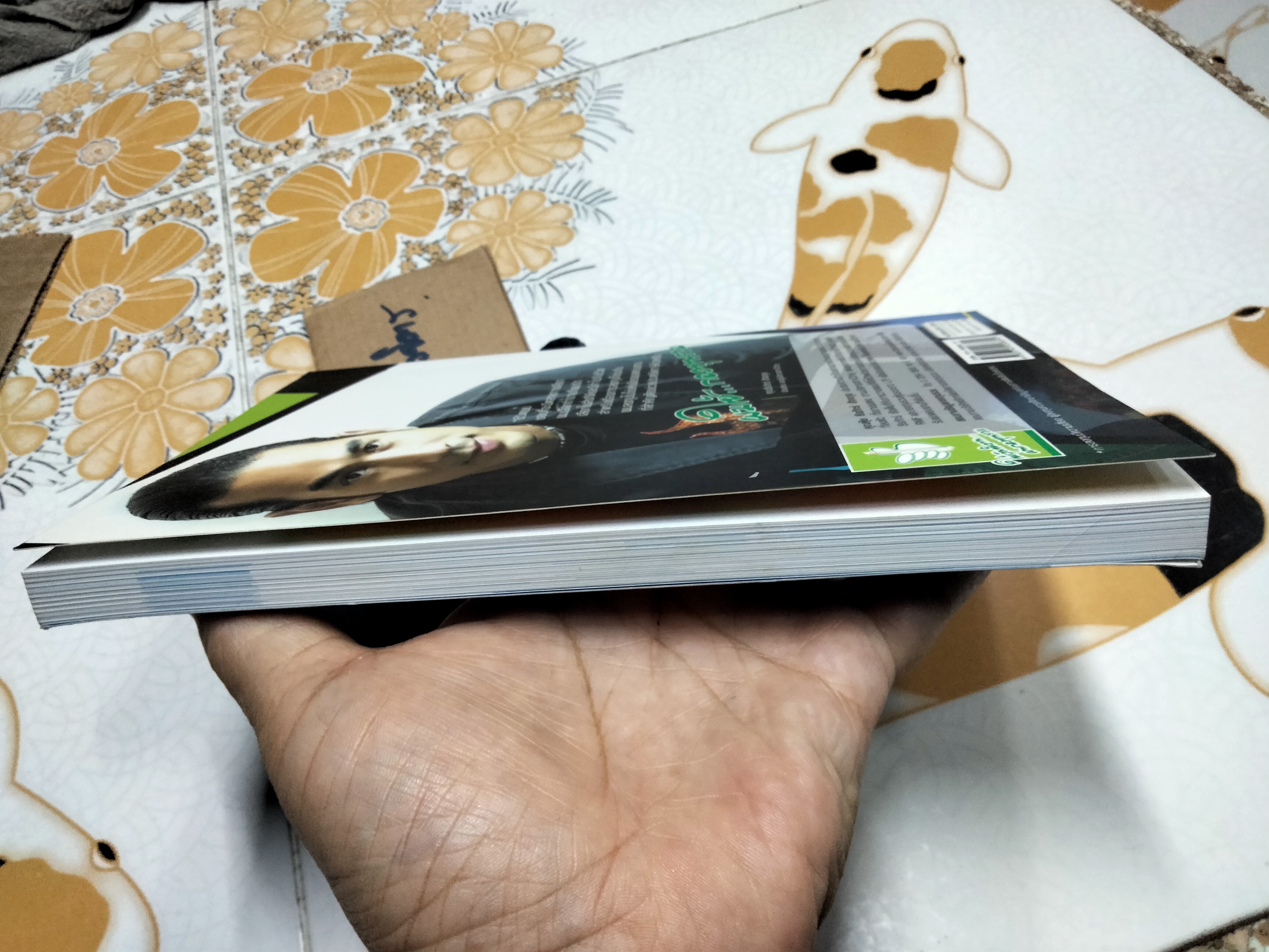 บันทึกนักลงทุนหน้าใหม่ (Diary of a Young Investor) โดยเพชร บุษราคัม **สินค้าหมด**