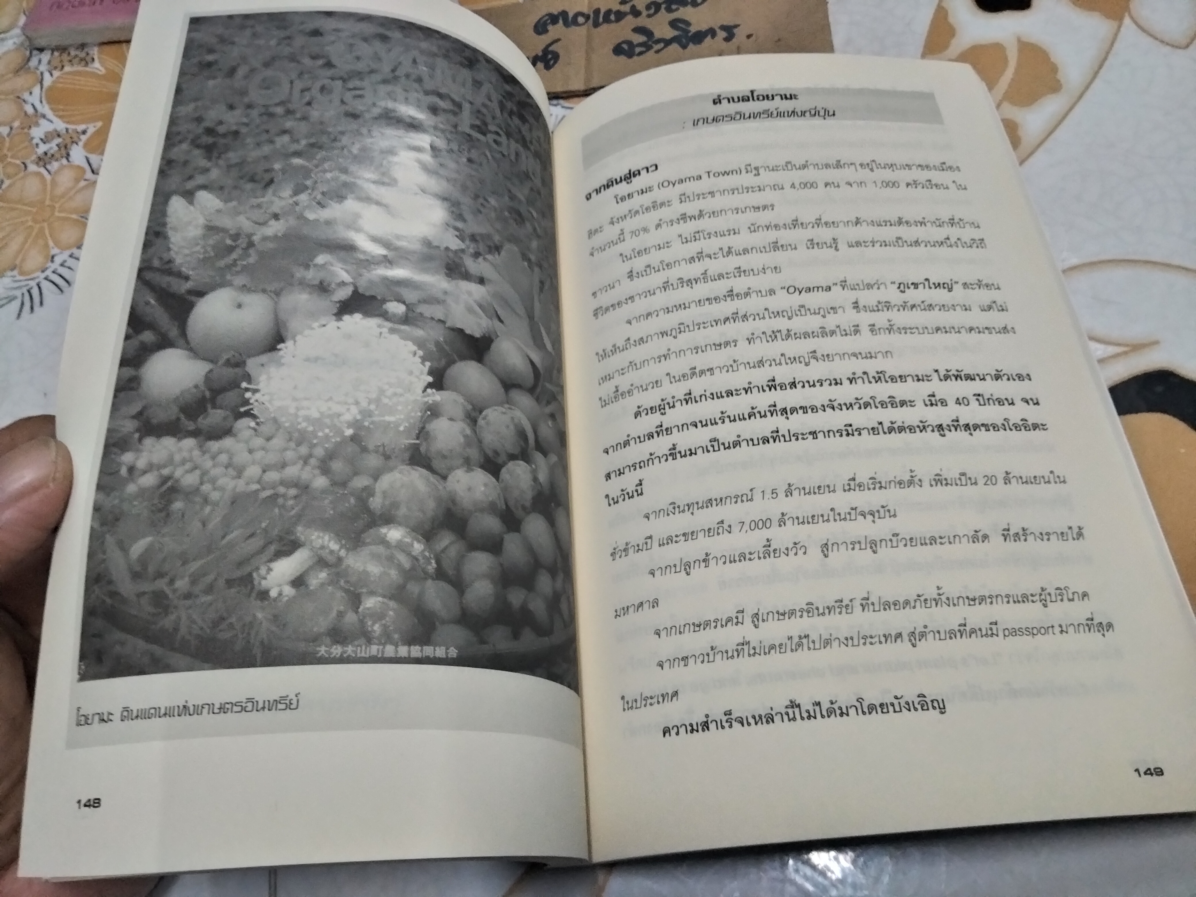 มหัศจรรย์แห่งหมู่บ้านหลังเขา (Global Village) โดย นฤตม์ เทอดสถีรศักดิ์