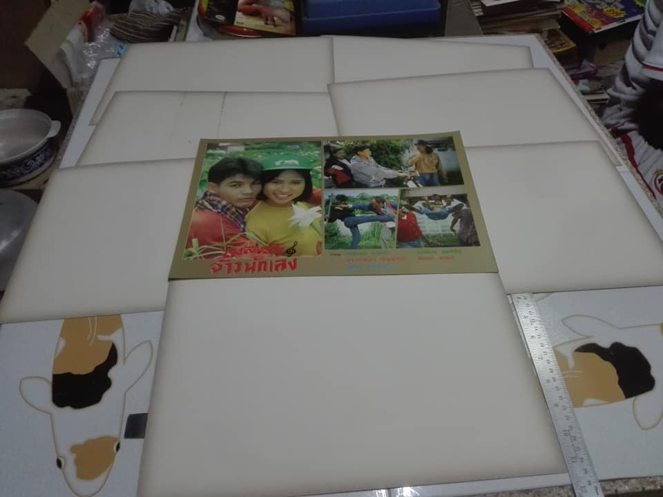 โชว์การ์ดงานเก่า ภาพยนตร์ไทย เรื่อง เพลงรักจ้าวนักเลง โดย เขียวสดอินเตอร์กรุป , วันชนะ กำกับการแสดง (1 ชุดมี 8 ภาพ)