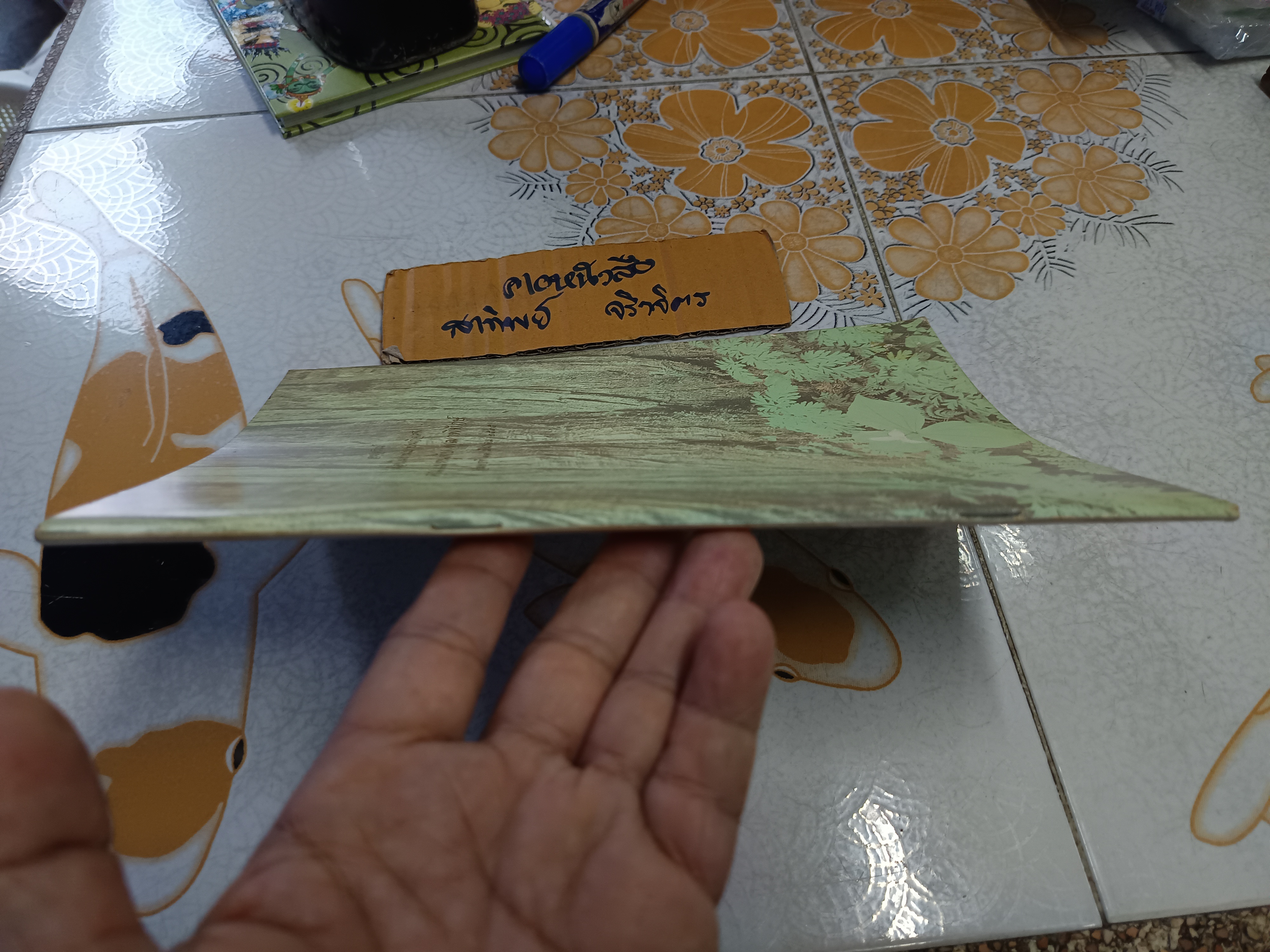 หนังสืออนุสรณ์ คุณแม่หนูทับ พุฒาพิทักษ์ วันพุธที่ 11 มีนาคม 2535 #ตำราแมว