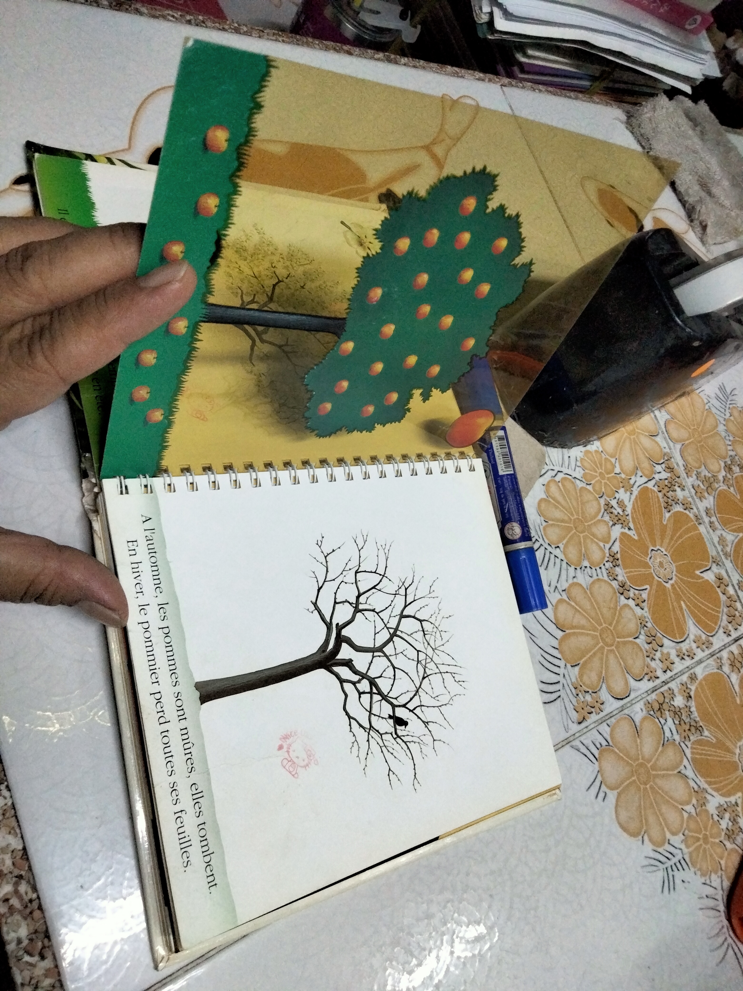 My First Discoveries Book - La pomme - ภาษาฝรั่งเศส (หนังสือจากห้องสมุด)