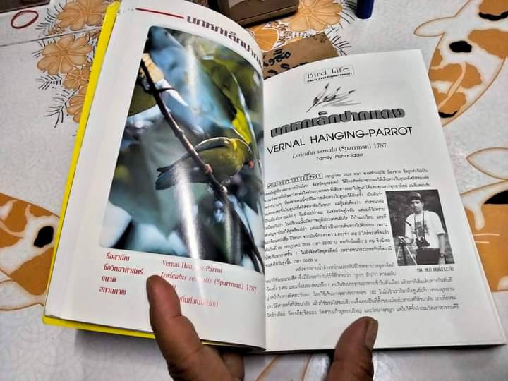 ชีวิตนก Bird Life จากบันทึก เเละความทรงจำ เล่ม 3 โดย สุธี ศุภรัฐวิกร พิมพ์ปี พ.ศ.2540