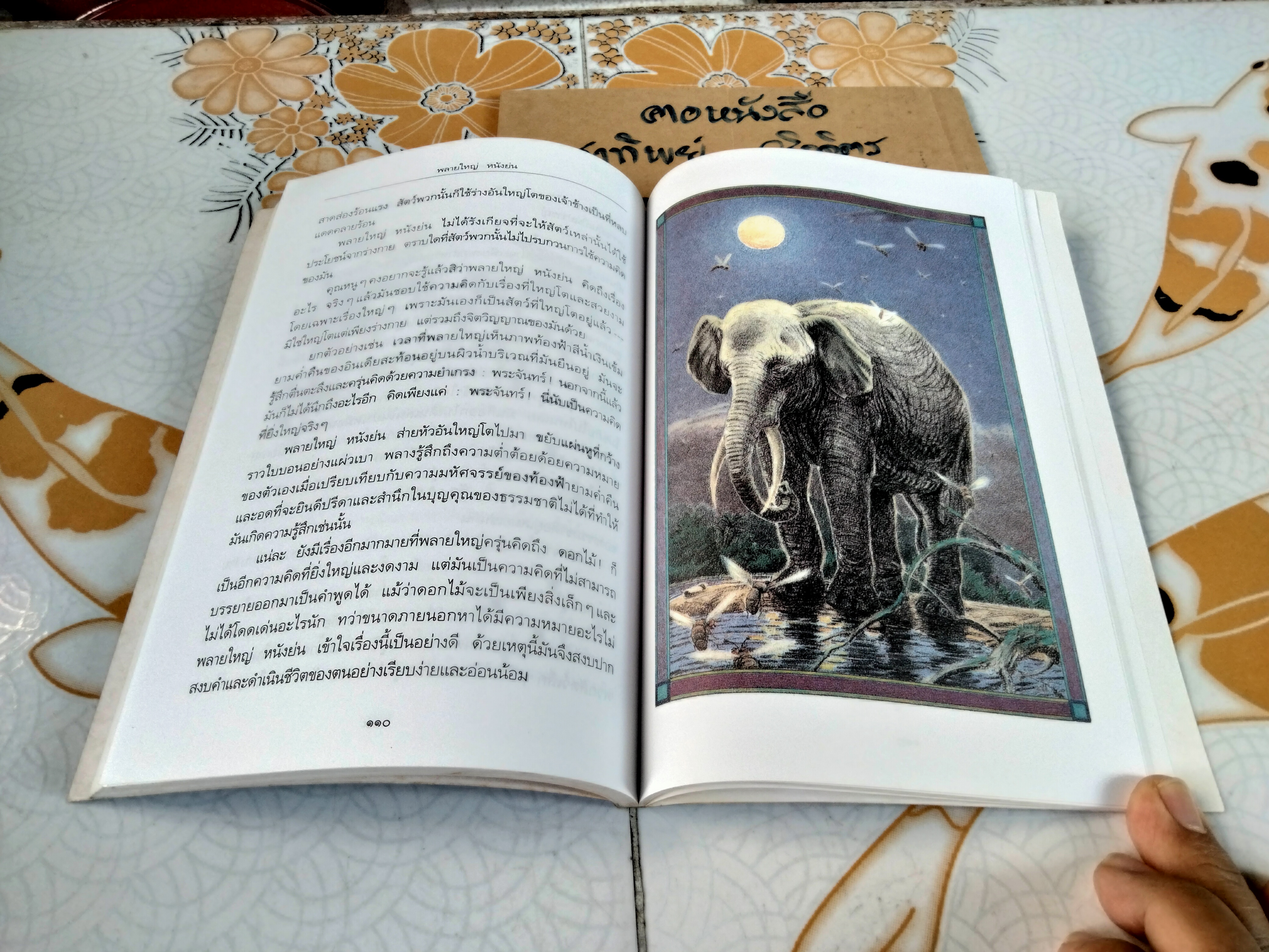 ดินแดนหลับสบาย (DIE ZAUBERSCHULE UND ANDRER GESCHICHTEN) พิมพ์ครั้งแรก กุมภาพันธ์ 2541 - แพรวเยาวชน **สินค้าหมด**