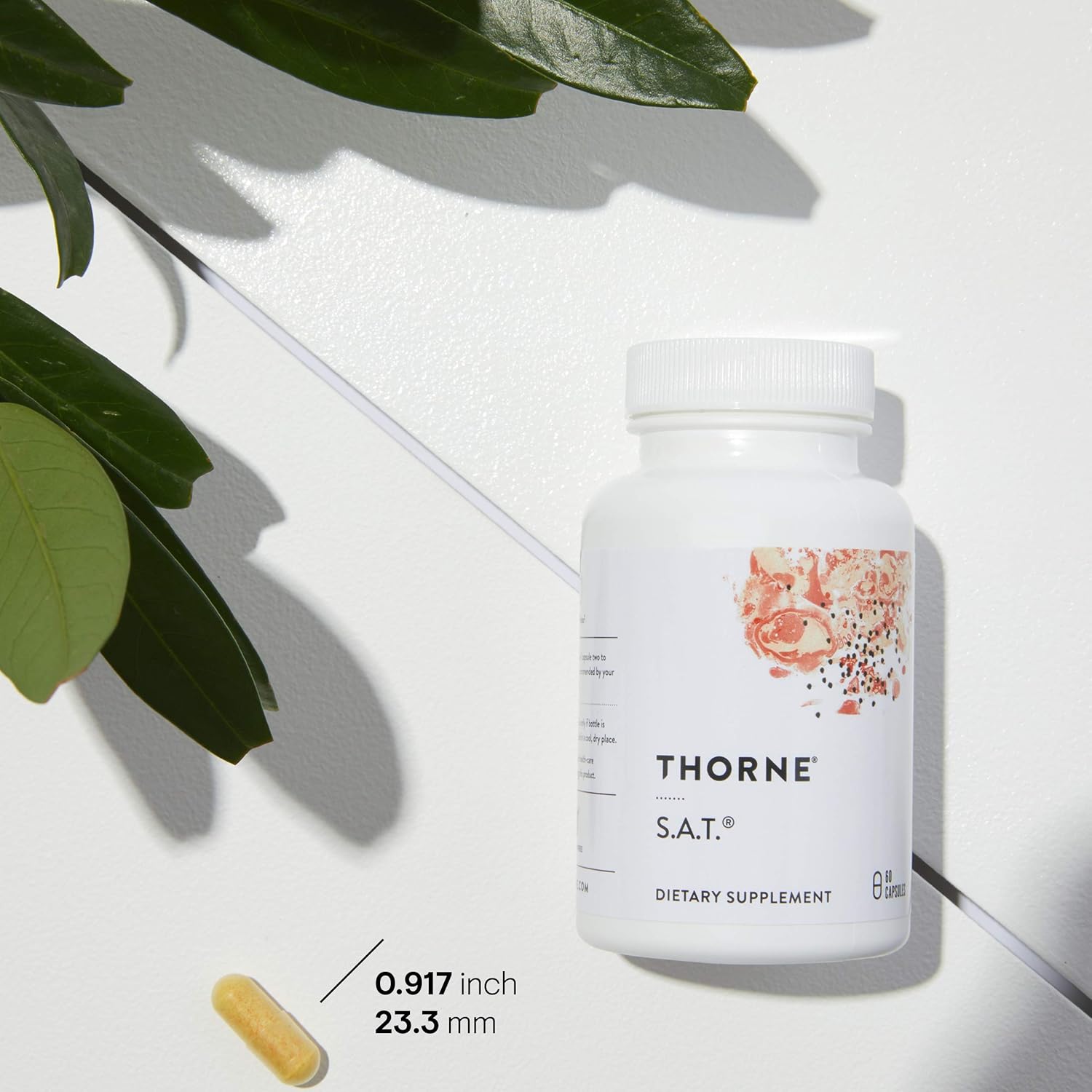 (Pre Order) THORNE® S.A.T. - Silymarin, Artichoke, and Turmeric Extracts 60 Capsules วิตามิน สารสกัดจากอาติโช๊ค