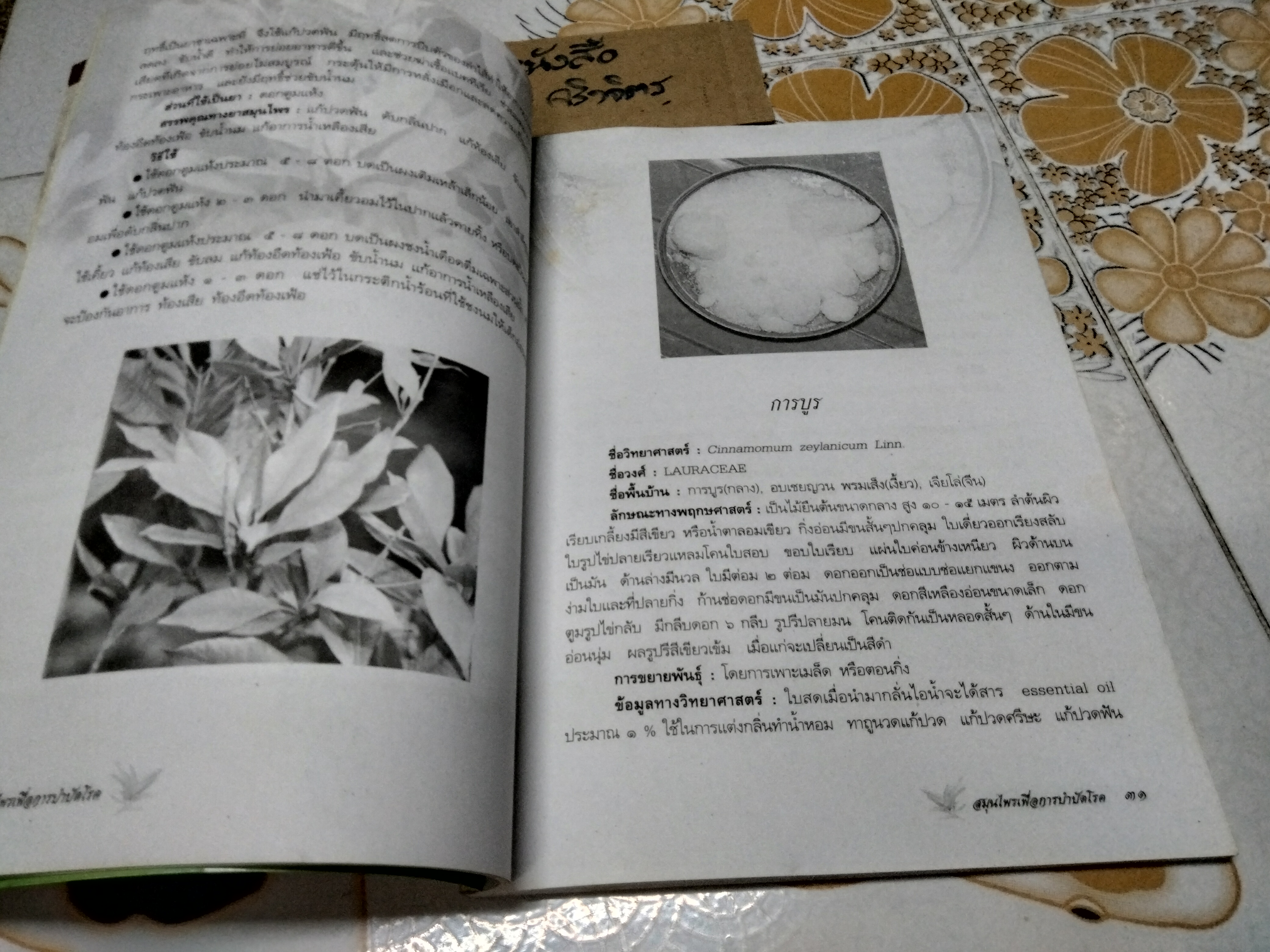 สมุนไพรเพื่อการบำบัดโรค - เรียบเรียงโดย แก้ว กาญจนา **สินค้าหมด*"