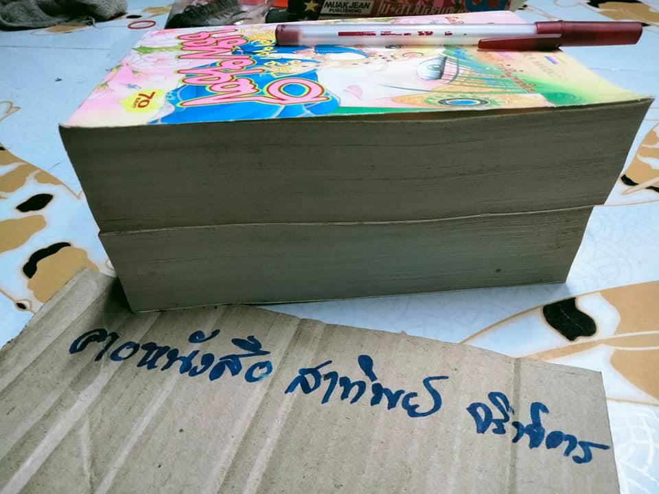 ปริศนาลับแพนซี (2 เล่มจบ) ผลงาน Okamura Mariko **สินค้าหมด**