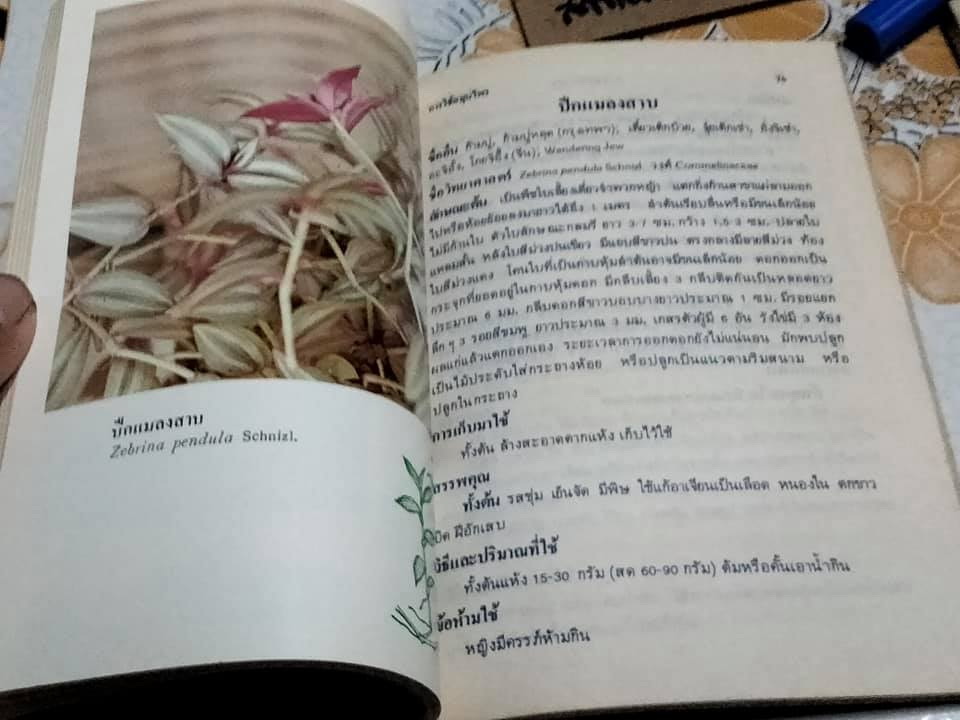 หนังสือ การใช้สมุนไพรเล่ม (1 + 2) โครงการพัฒนาเทคนิคการทำยาสมุนไพร **สินค้าหมด**