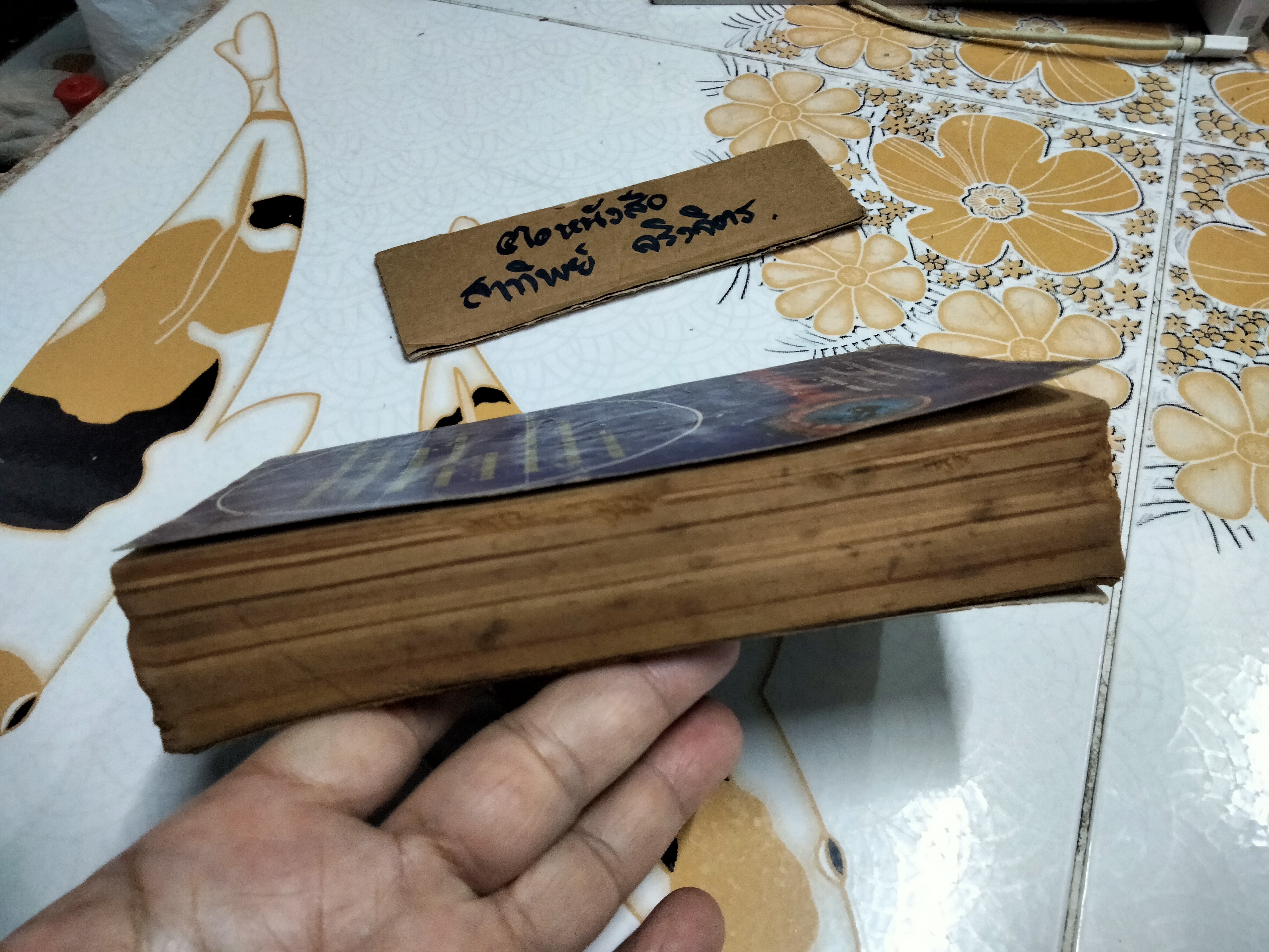 โหราศาสตร์ไทย วิทยาการแห่งความอัปยศ โดย ยอดธง ทับทิวไม้ (สภาพอ่าน) **สินค้าหมด**