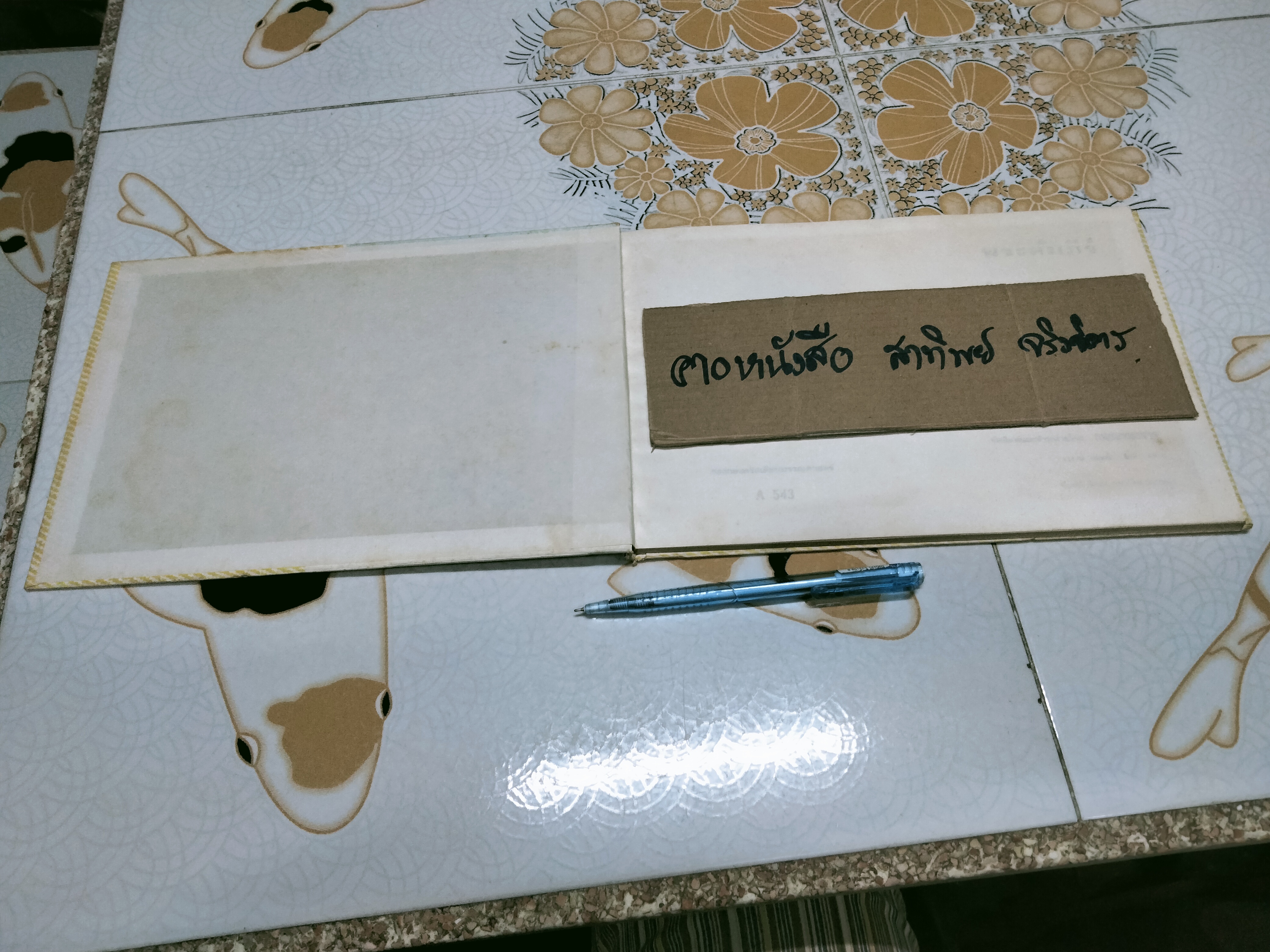 พระคัมภีร์สำหรับคุณหนู โดย ดร. เคนเนท เทเลอร์