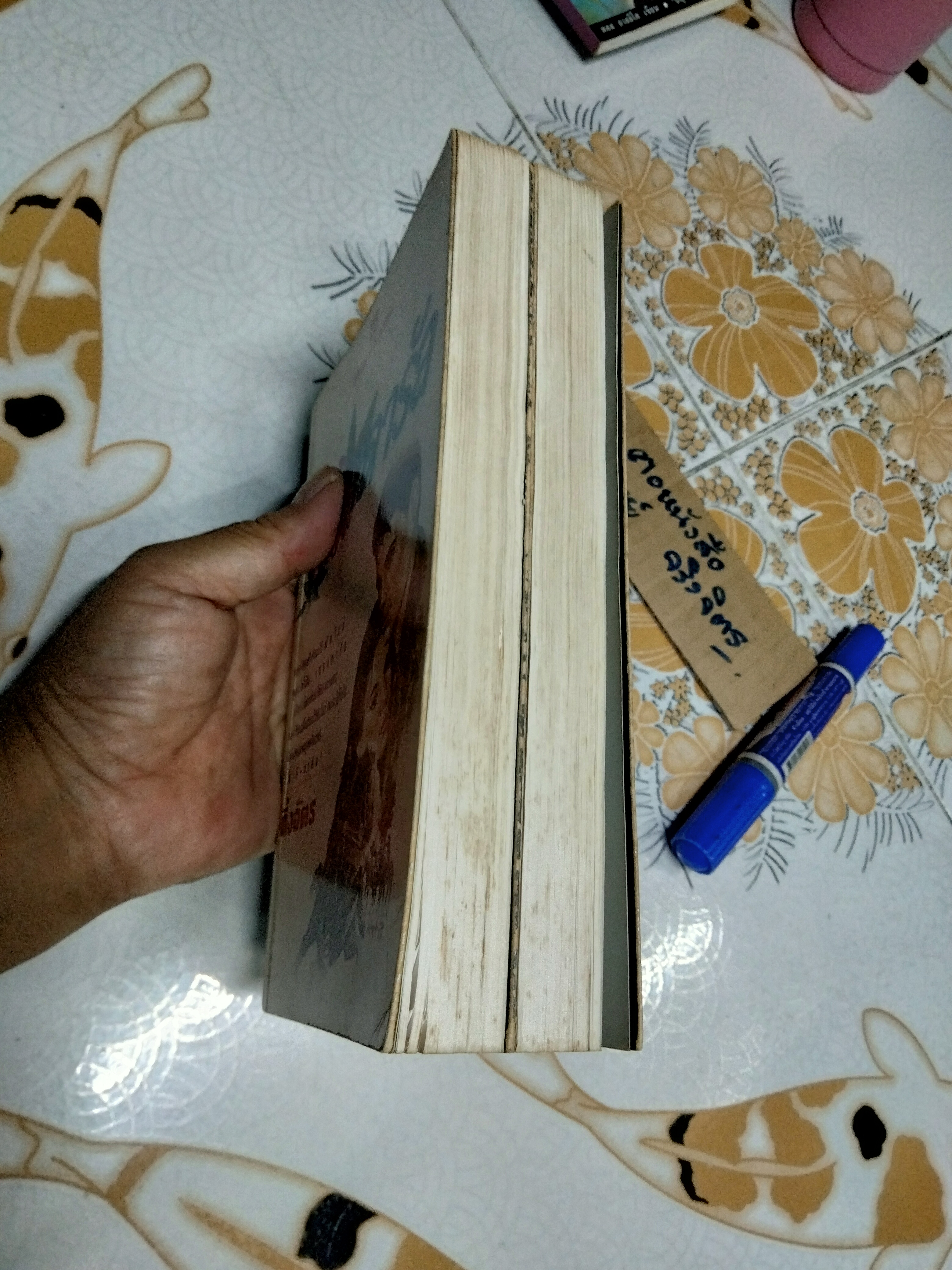 เสราดารัล (2 เล่มชุด) โดย กิ่งฉัตร พิมพ์รวมเล่มครั้งที่ 2/2537